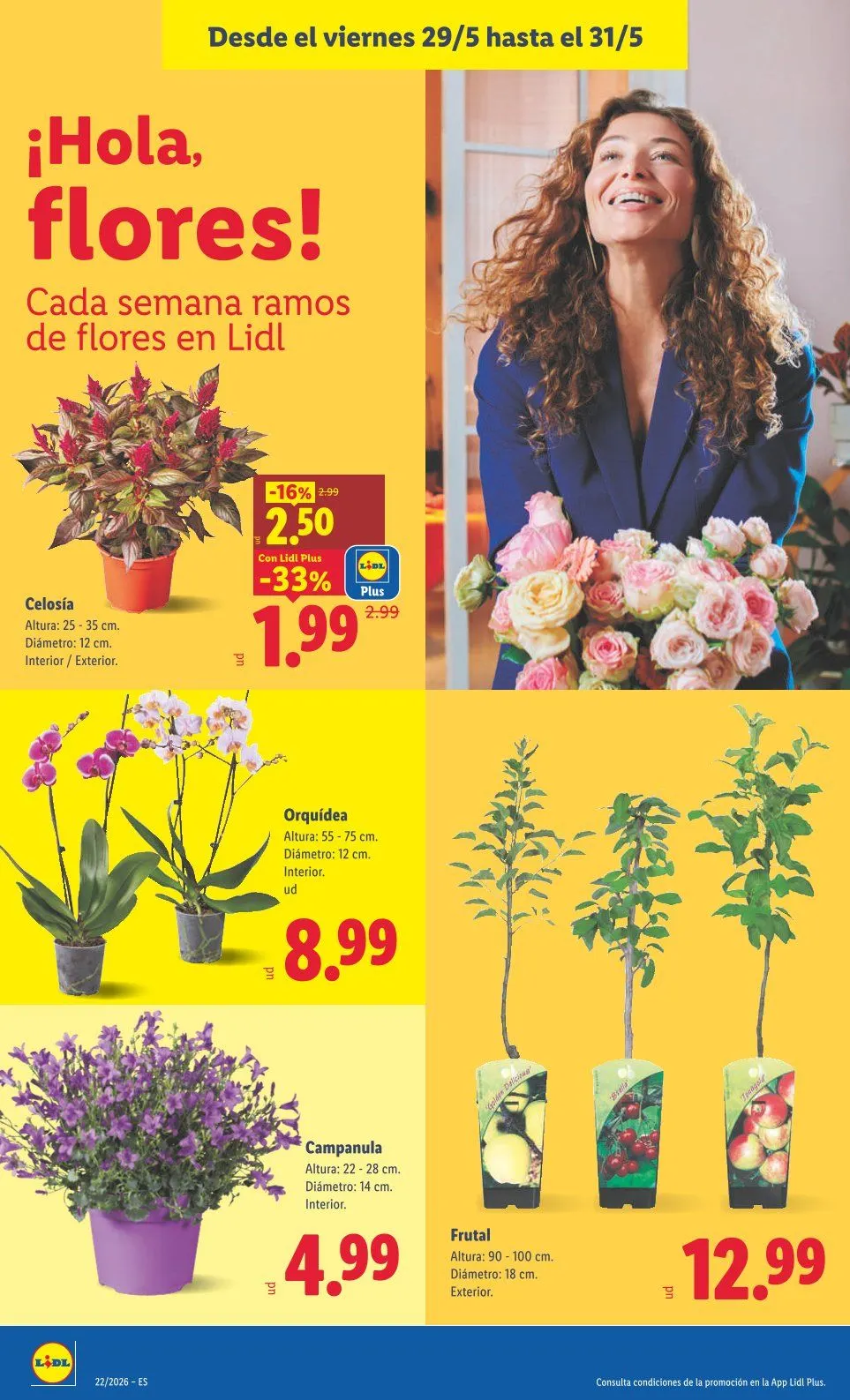 Catálogo de Lidl Ofertas 25 de mayo al 31 de mayo 2026 - Página 36