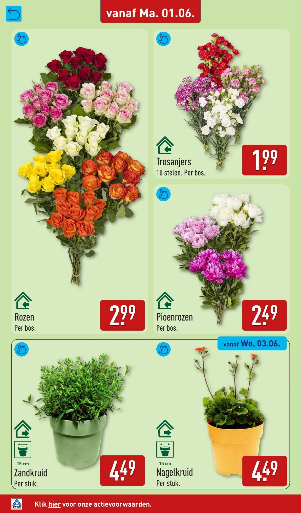 Aldi folders van 1 juni tot 7 juni 2026 - Folder pagina 36