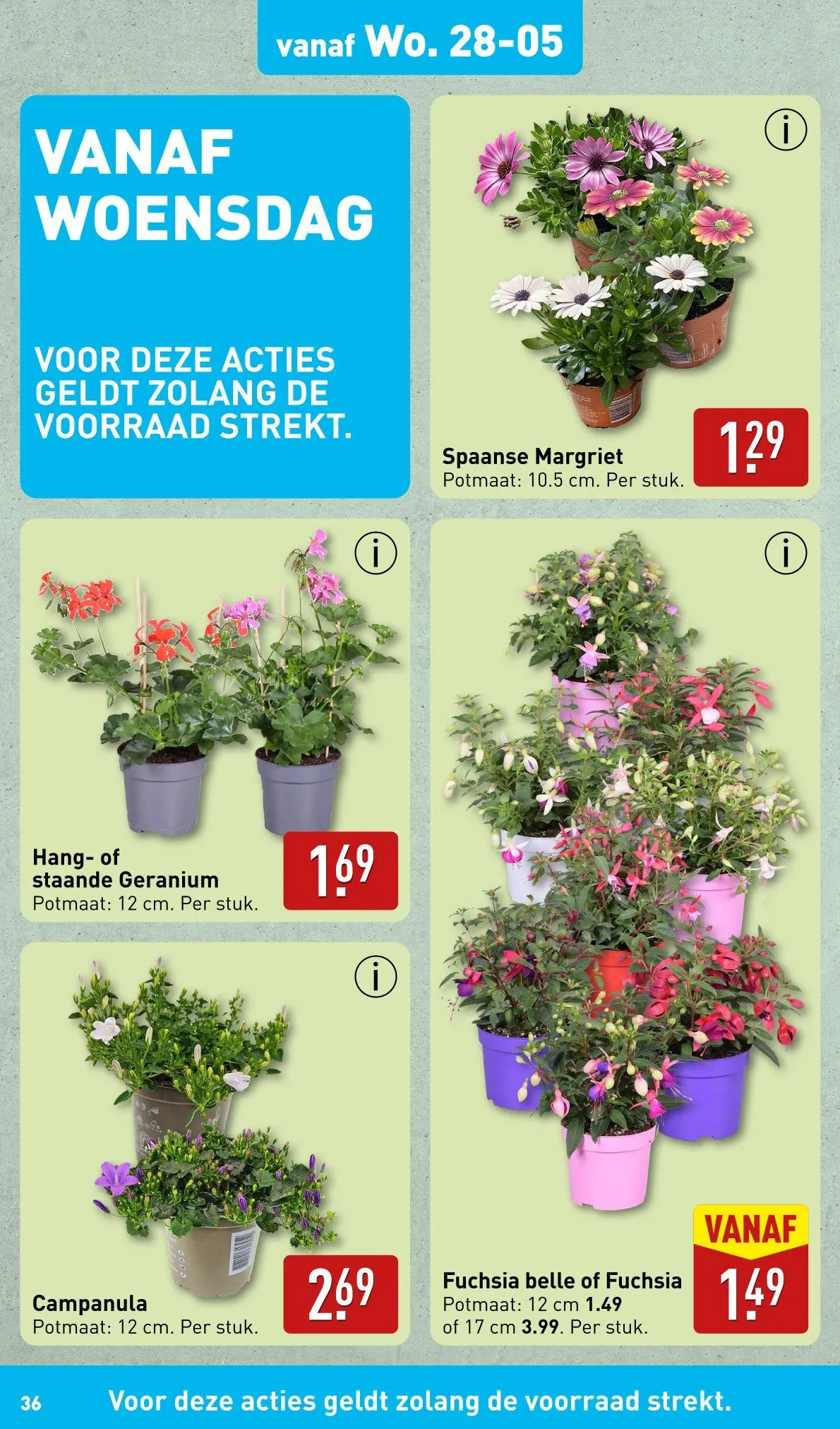 Aldi Aanbiedingen van 26 mei tot 1 juni 2025 - Folder pagina 36