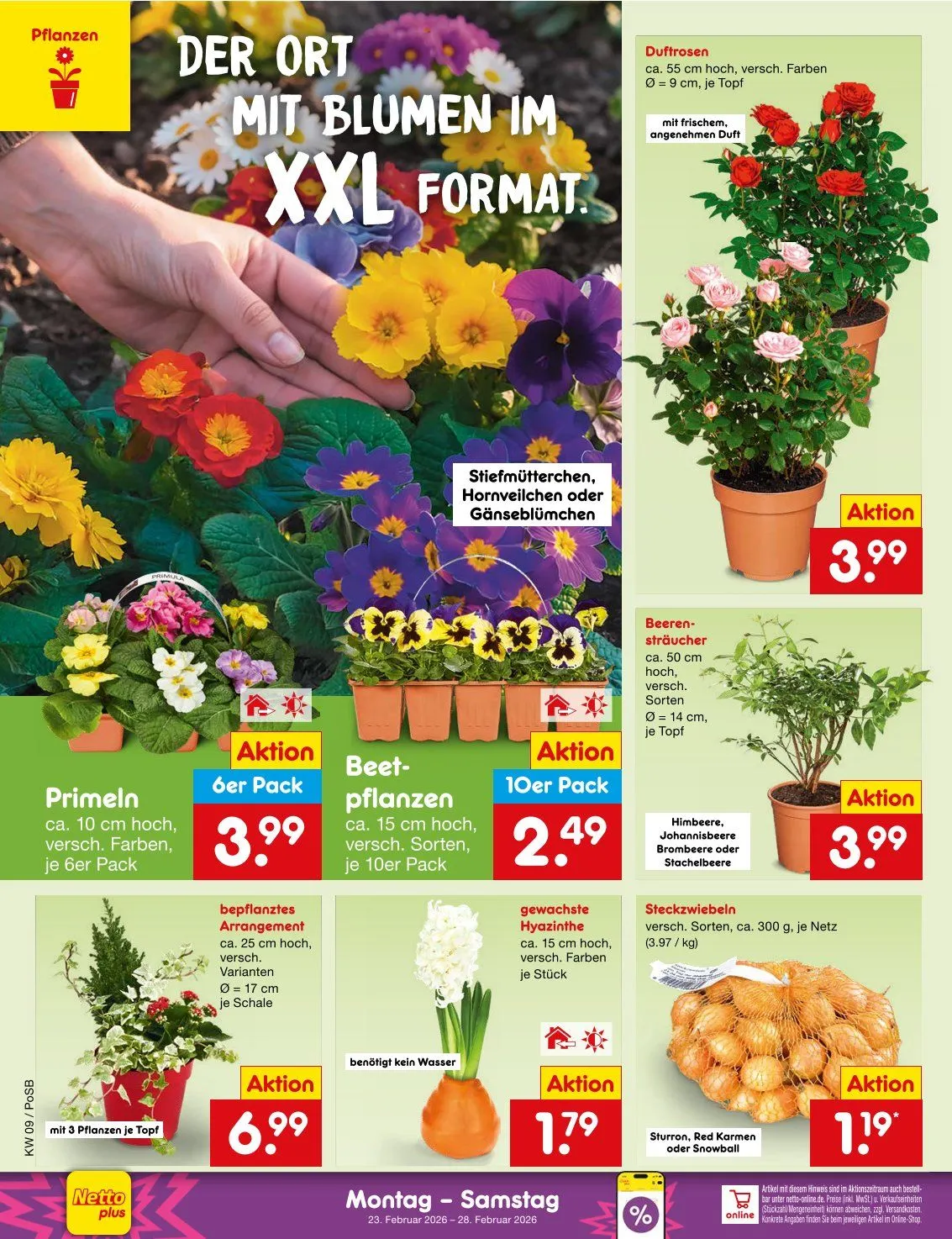 Netto Marken-Discount Prospekte von 2. März bis 7. März 2026 - Prospekt seite 36