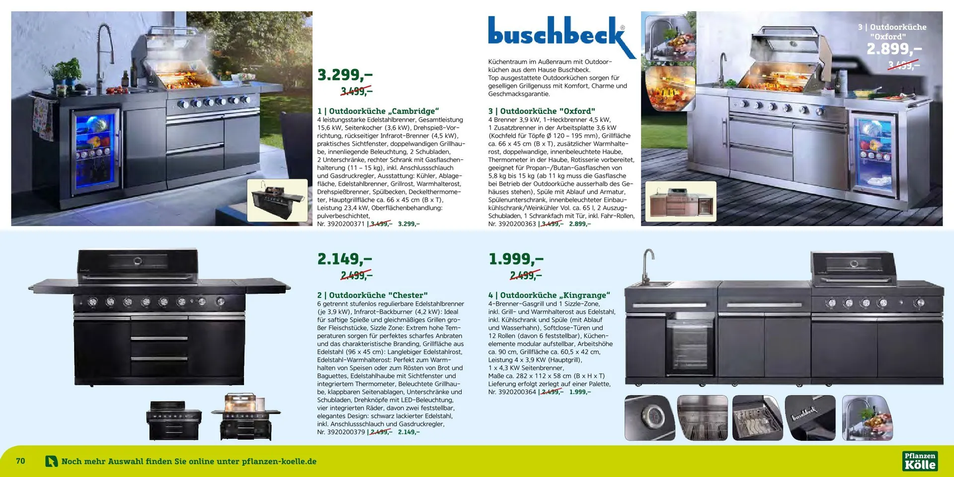 Prospekt Pflanzen-Kölle  von 12. August bis 7. September 2025 - Prospekt seite 37