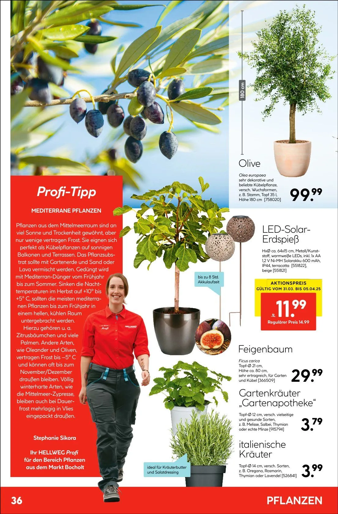 Hellweg Prospekte von 31. März bis 10. Mai 2025 - Prospekt seite 36