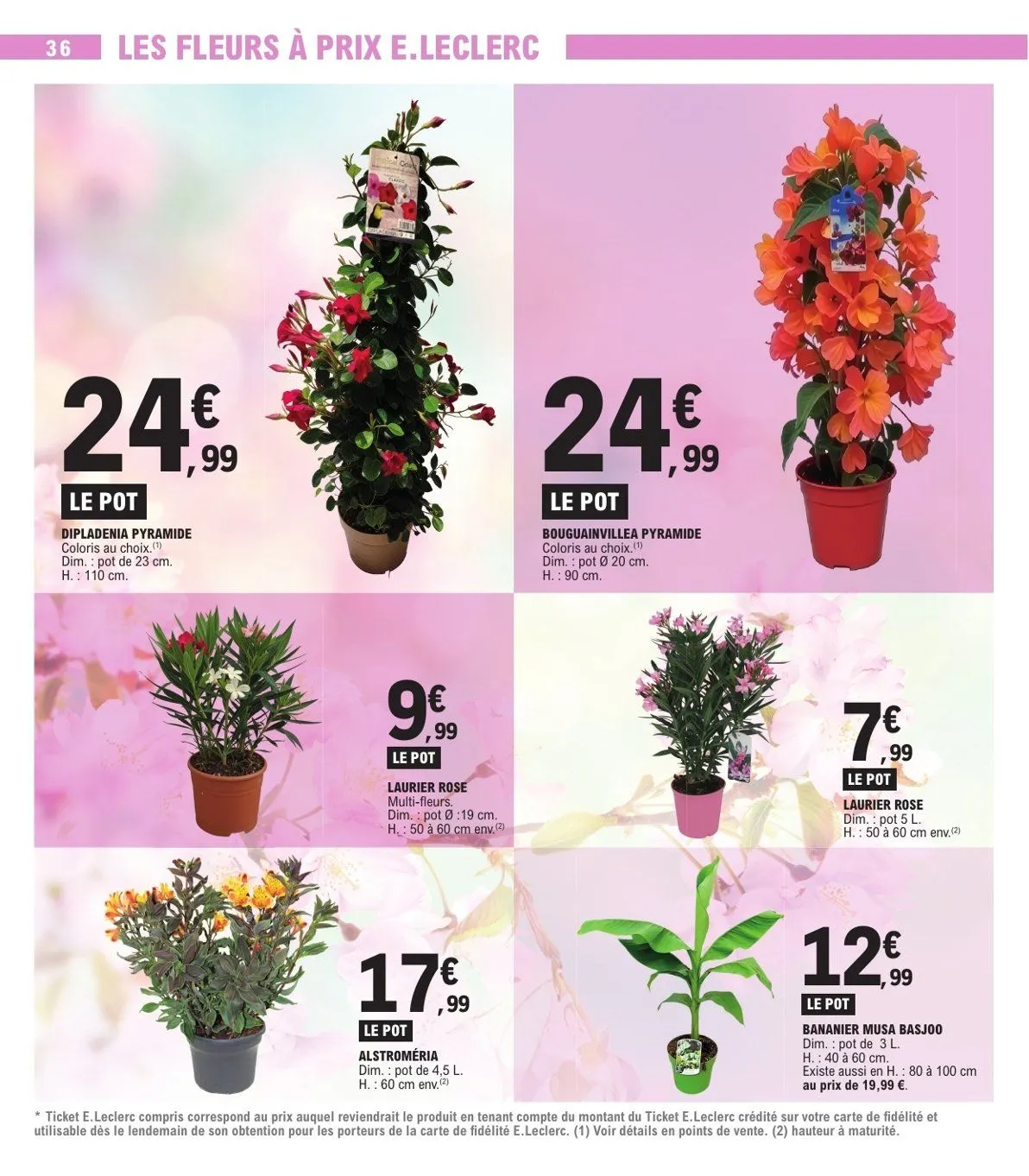 Catalogues E.Leclerc du 5 mai au 16 mai 2026 - Catalogue page 36
