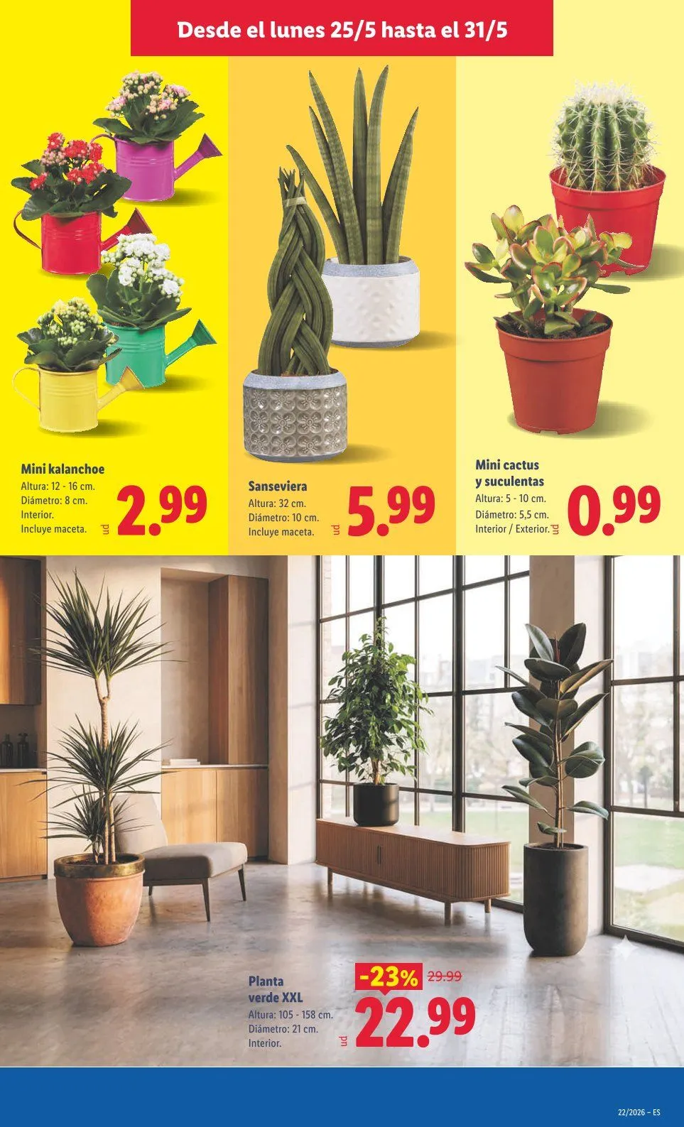 Catálogo de Lidl Ofertas 25 de mayo al 31 de mayo 2026 - Página 37