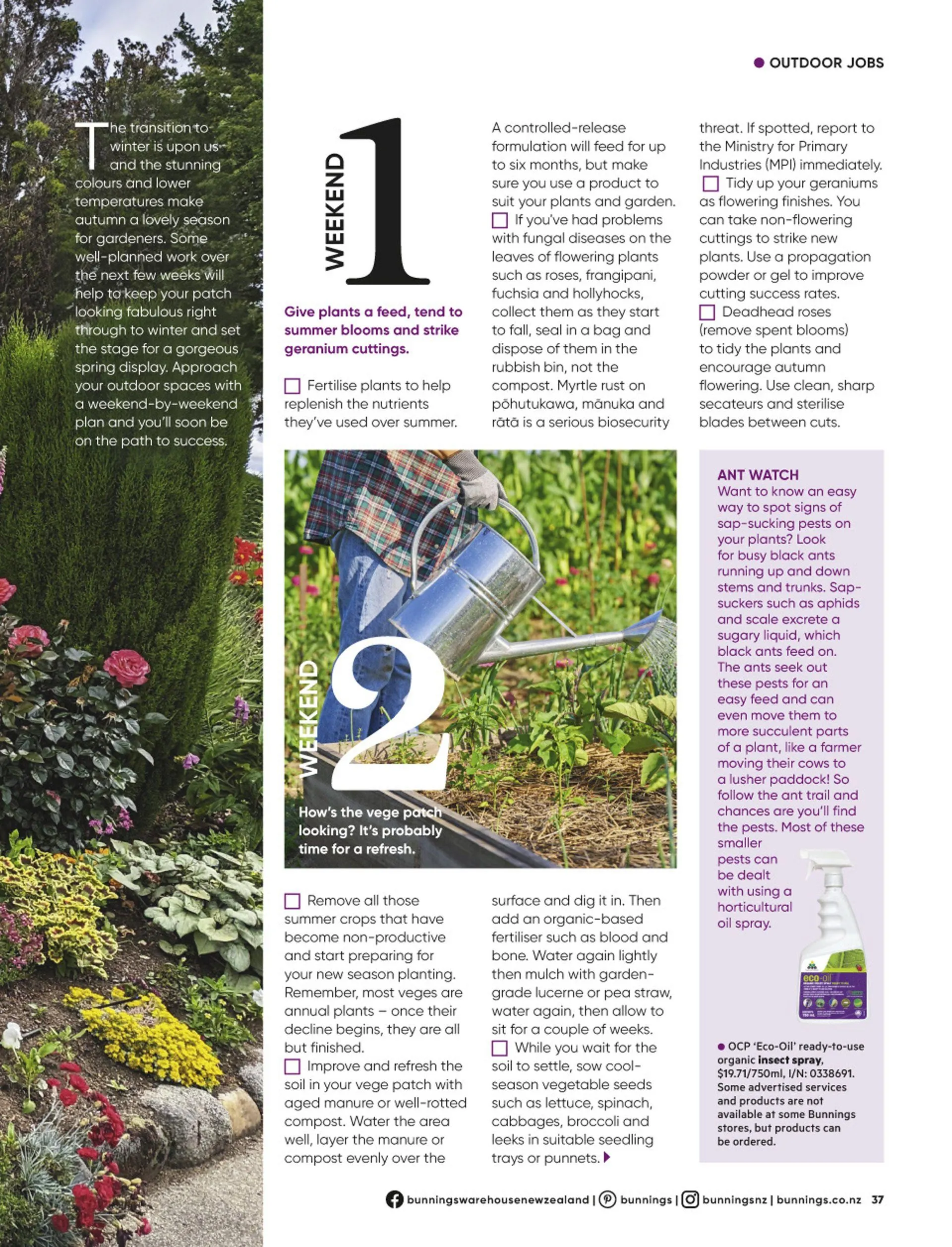 Bunnings weekly ads from 19 May to 31 July 2026 - Catalogue Page 37