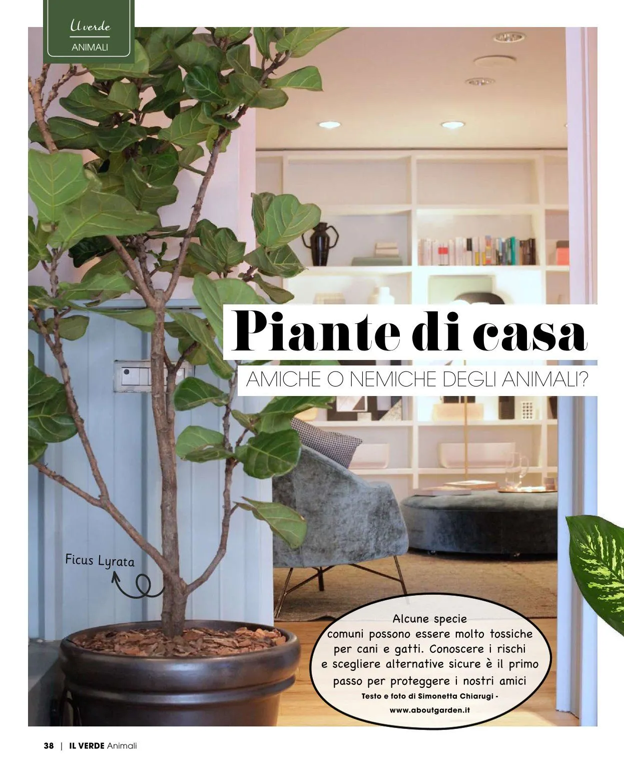 Famila Volantino da 20 aprile a 25 aprile di 2026 - Pagina del volantino 37