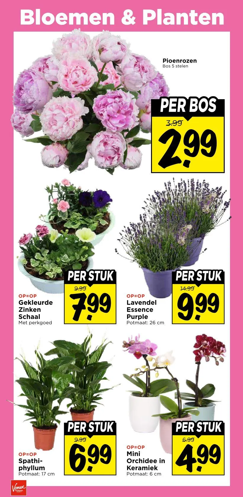 Vomar folders van 7 juni tot 13 juni 2026 - Folder pagina 37