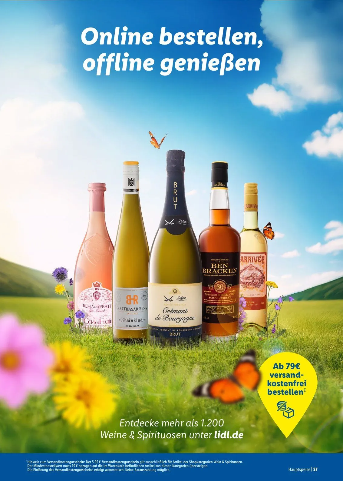 Lidl Prospekt von 25. März bis 20. April 2025 - Prospekt seite 37