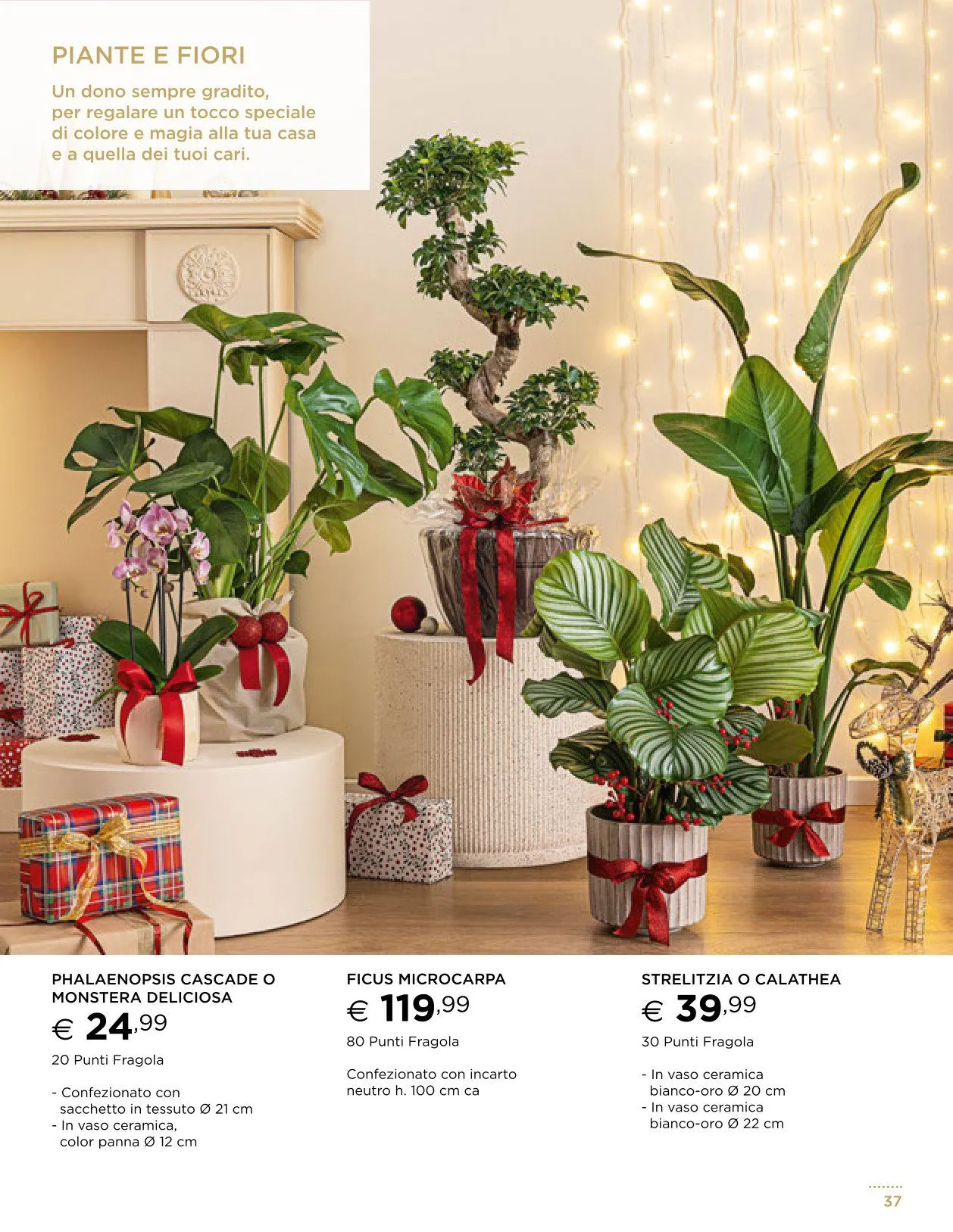 Esselunga Volantino da 13 novembre a 31 dicembre di 2025 - Pagina del volantino 37