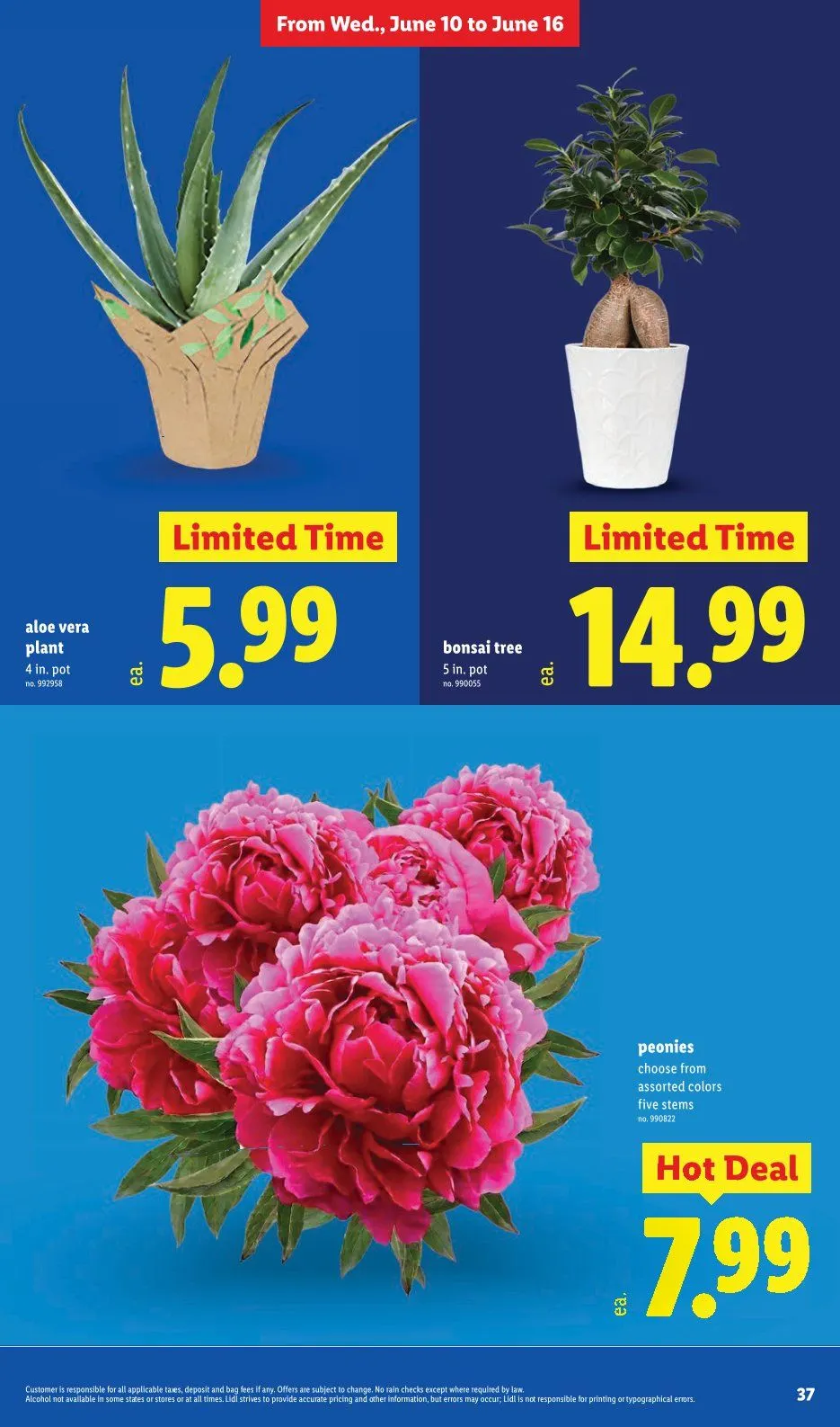 Weekly ad Lidl Sales from June 10 to June 16 2026 - Page 37