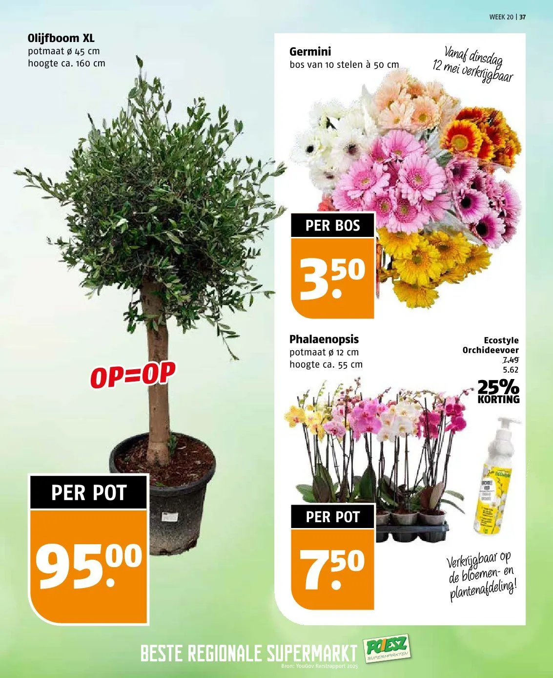  Poiesz folders van 10 mei tot 16 mei 2026 - Folder pagina 37