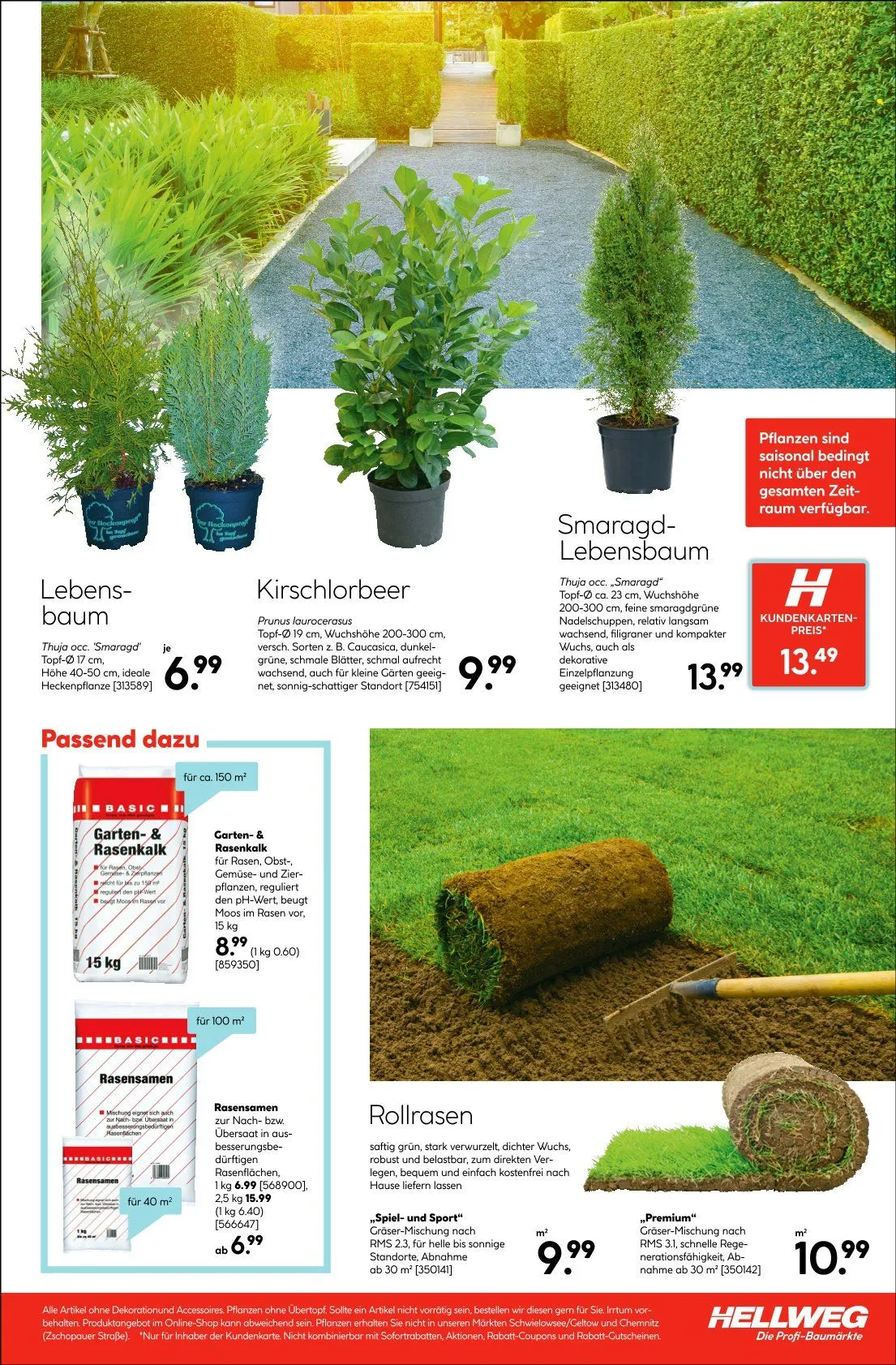 Hellweg Prospekte von 31. März bis 10. Mai 2025 - Prospekt seite 37