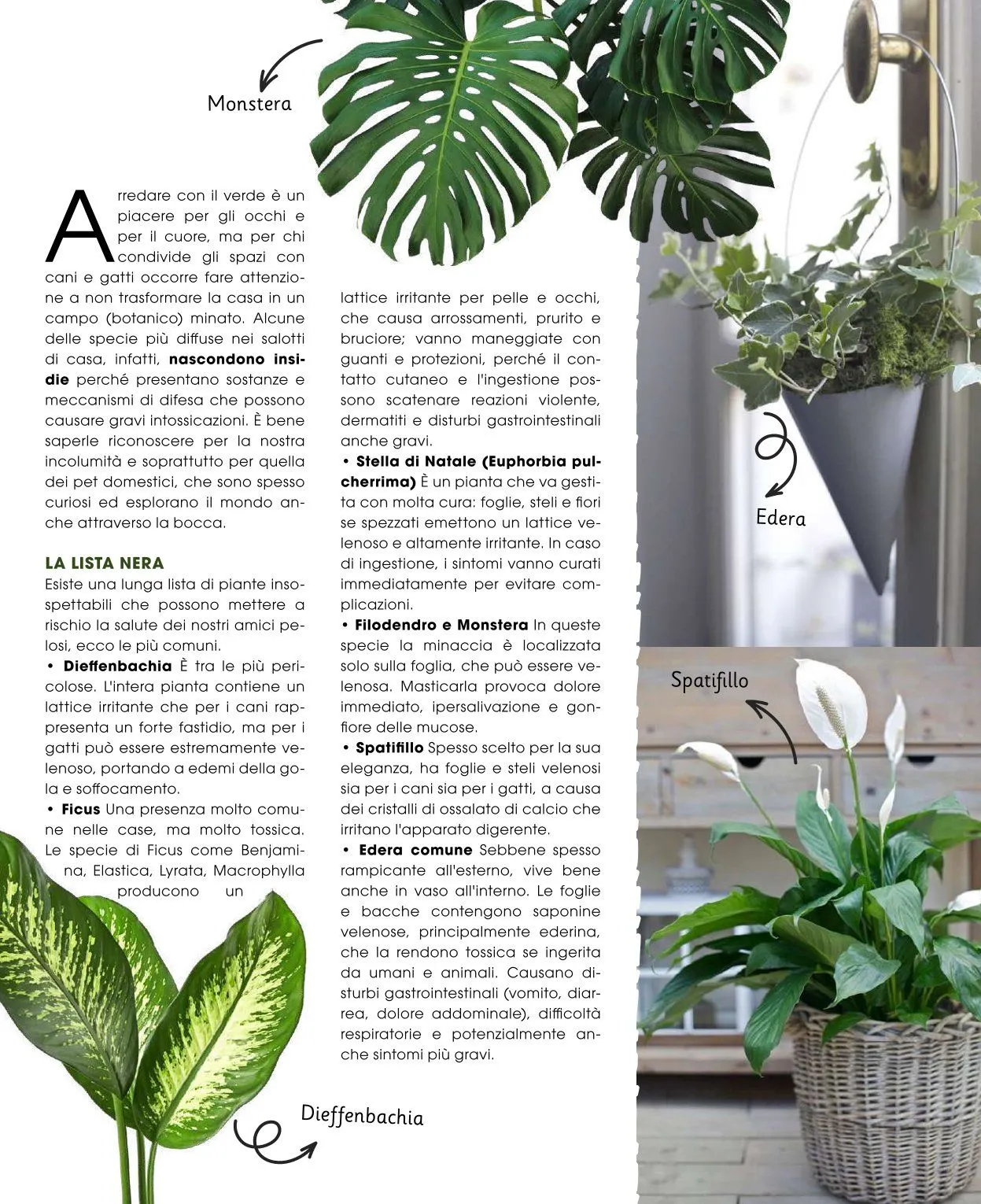 Famila Volantino da 20 aprile a 25 aprile di 2026 - Pagina del volantino 38