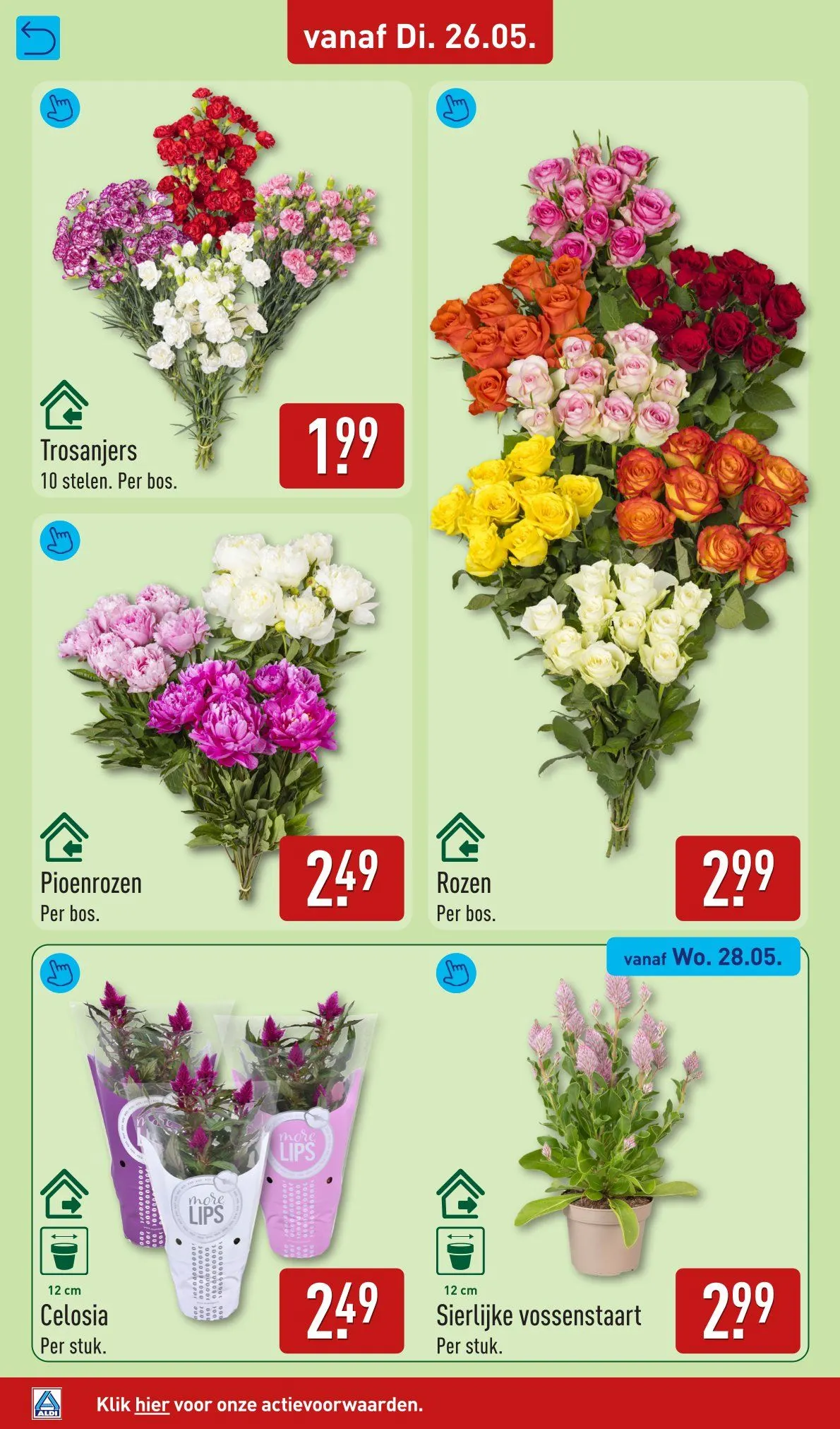 Aldi folders van 25 mei tot 31 mei 2026 - Folder pagina 38