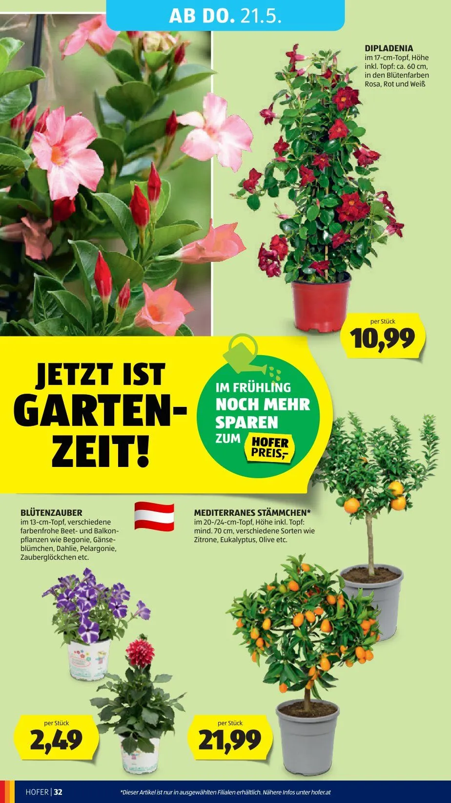  Hofer Prospekte von 15. Mai bis 21. Mai 2026 - Flugblätt seite  38