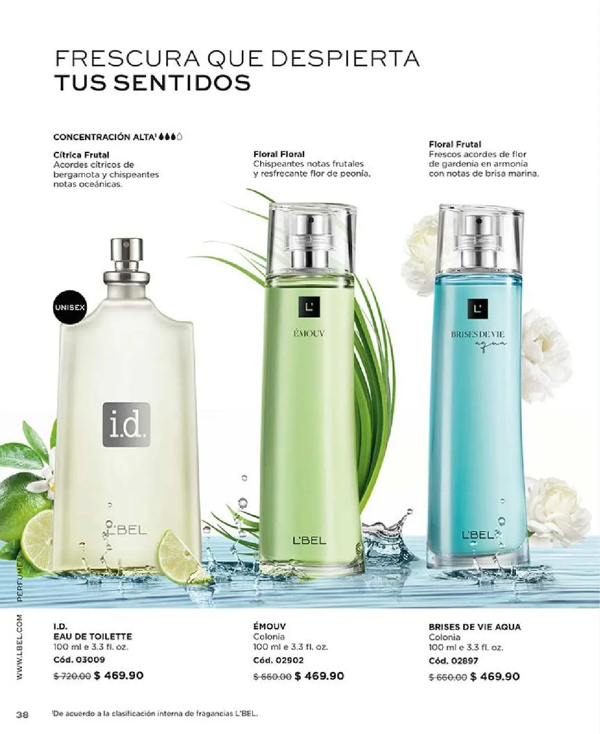 Catálogo de L'Bel Oferta del Mes 1 de septiembre al 30 de septiembre 2025 - Pagina 33