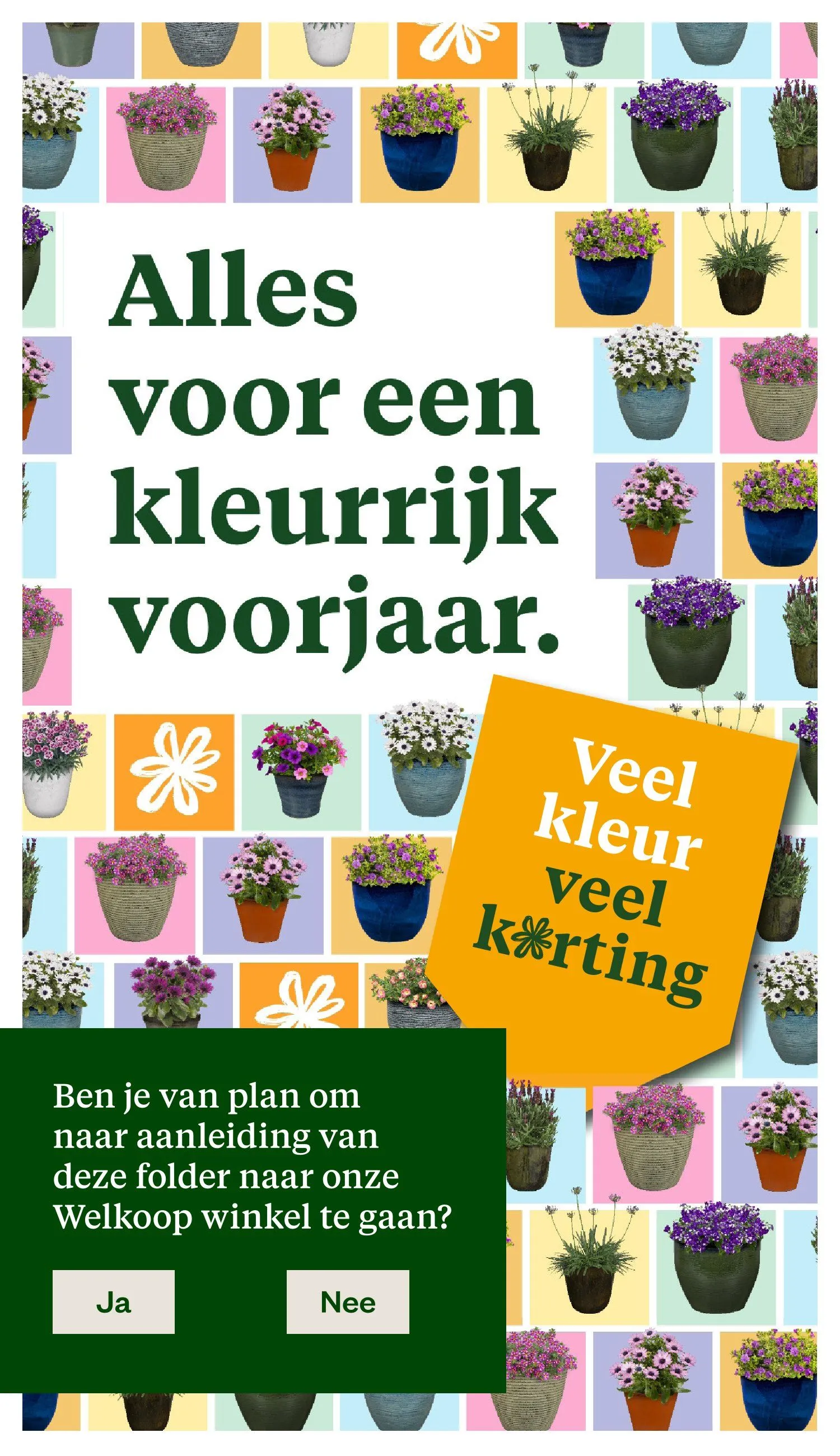 Welkoop folders van 30 maart tot 12 april 2026 - Folder pagina 38
