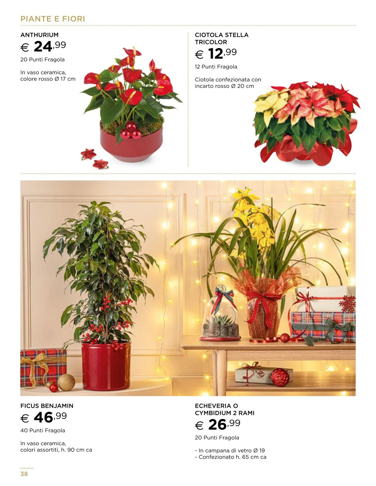 Esselunga Volantino da 13 novembre a 31 dicembre di 2025 - Pagina del volantino 38