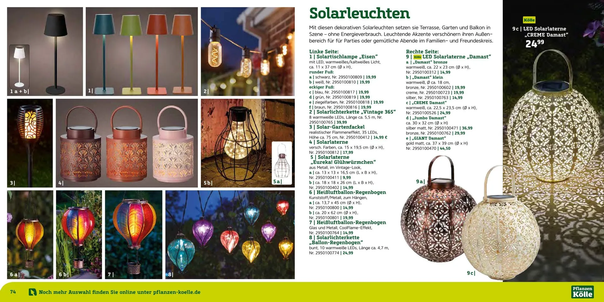 Prospekt Pflanzen-Kölle von 12. August bis 7. September 2025 - Prospekt seite 38