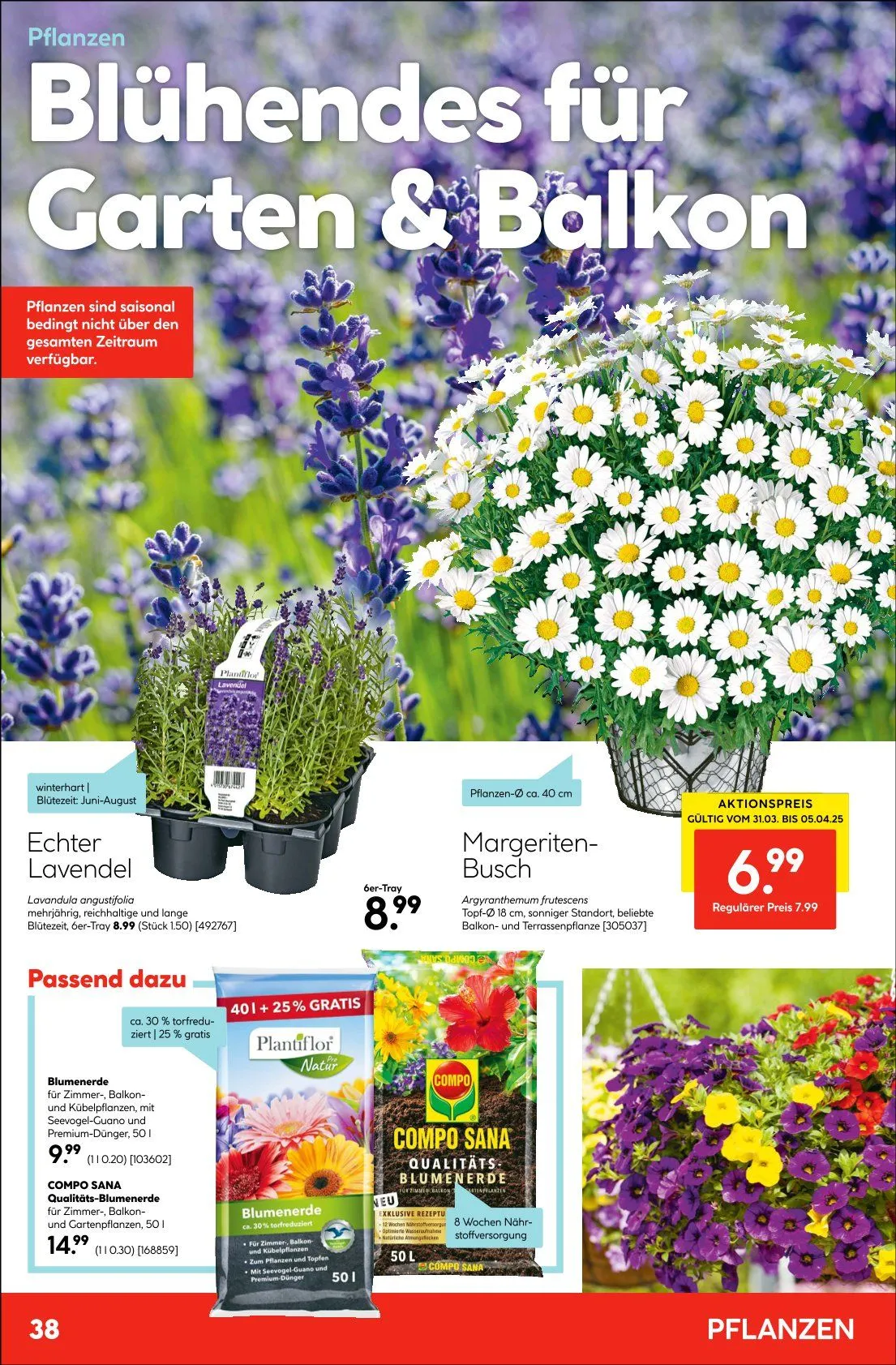 Hellweg Prospekt von 31. März bis 10. April 2025 - Prospekt seite 38