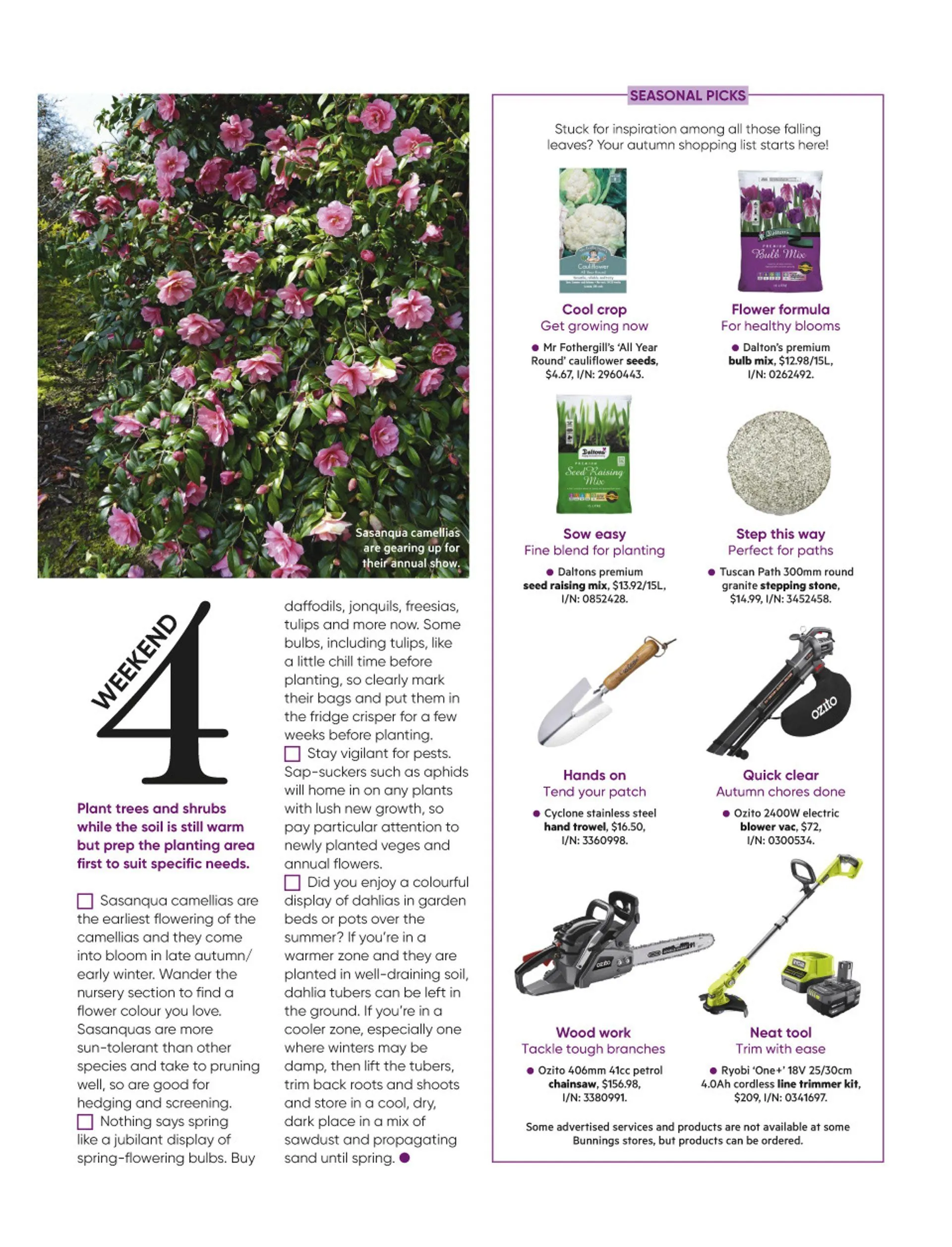 Bunnings weekly ads from 19 May to 31 July 2026 - Catalogue Page 39