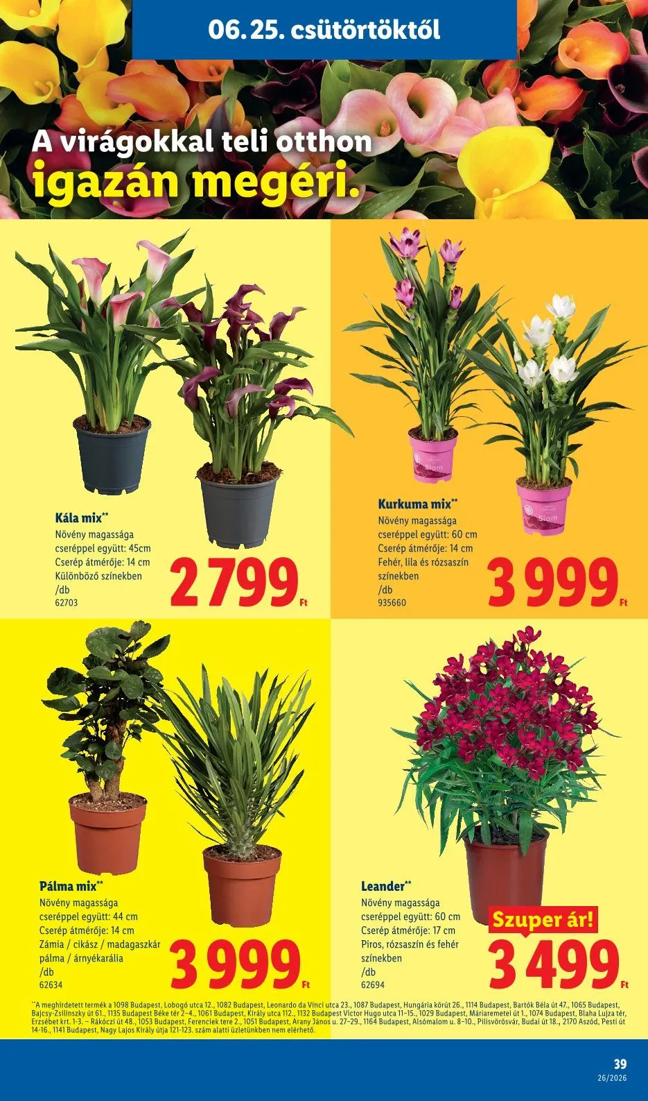Katalógus Lidl legfrissebb ajánlatai június 25.-tól július 7.-ig 2026. - Oldal 39