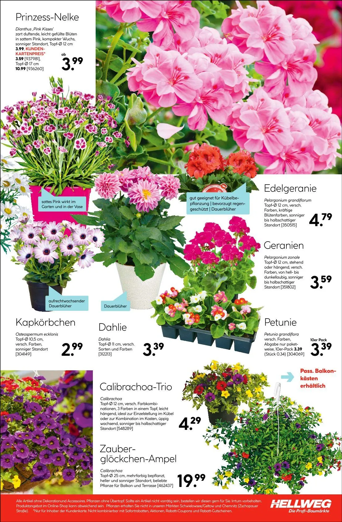 Hellweg Prospekte von 31. März bis 10. Mai 2025 - Prospekt seite 39