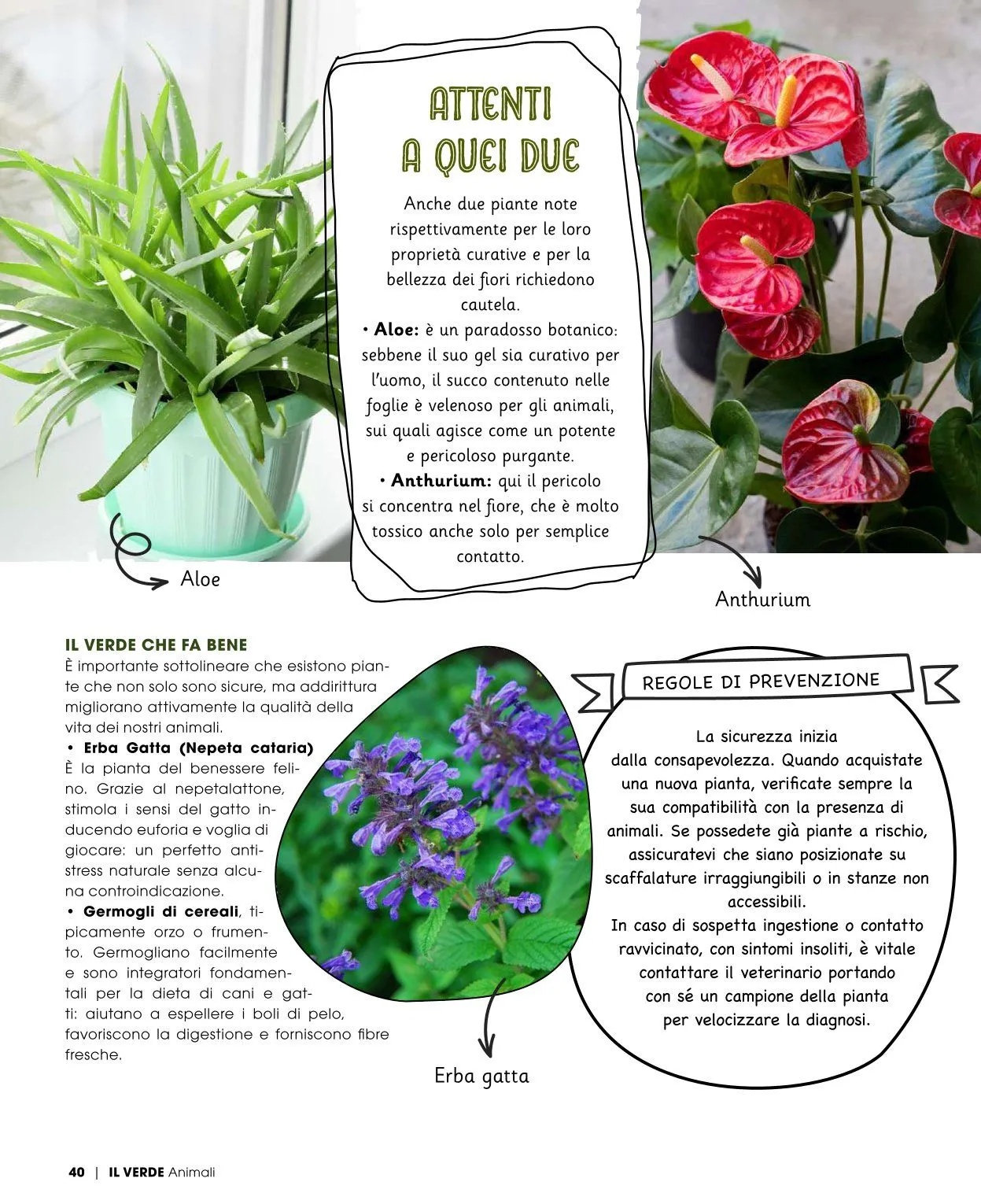 Famila Volantino da 20 aprile a 25 aprile di 2026 - Pagina del volantino 39