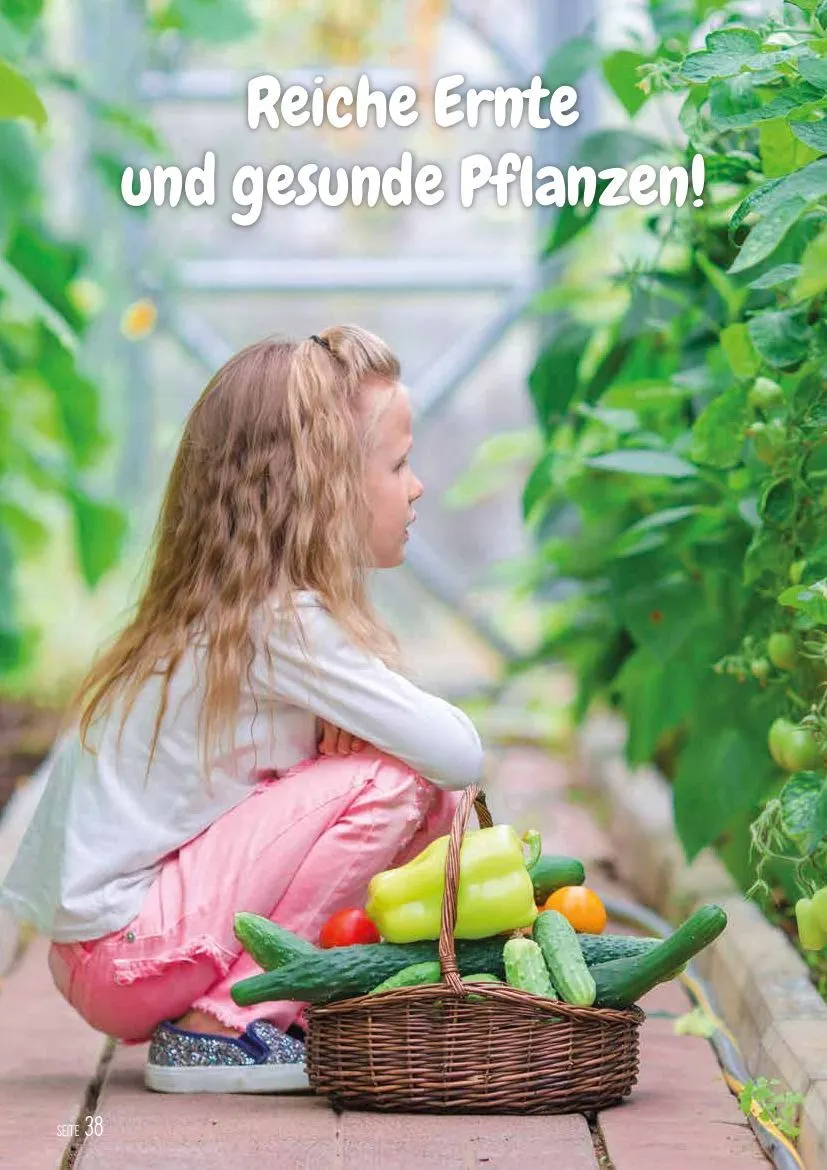 KIEBITZMARKT Angebote von 15. Mai bis 21. Mai 2026 - Prospekt seite 38