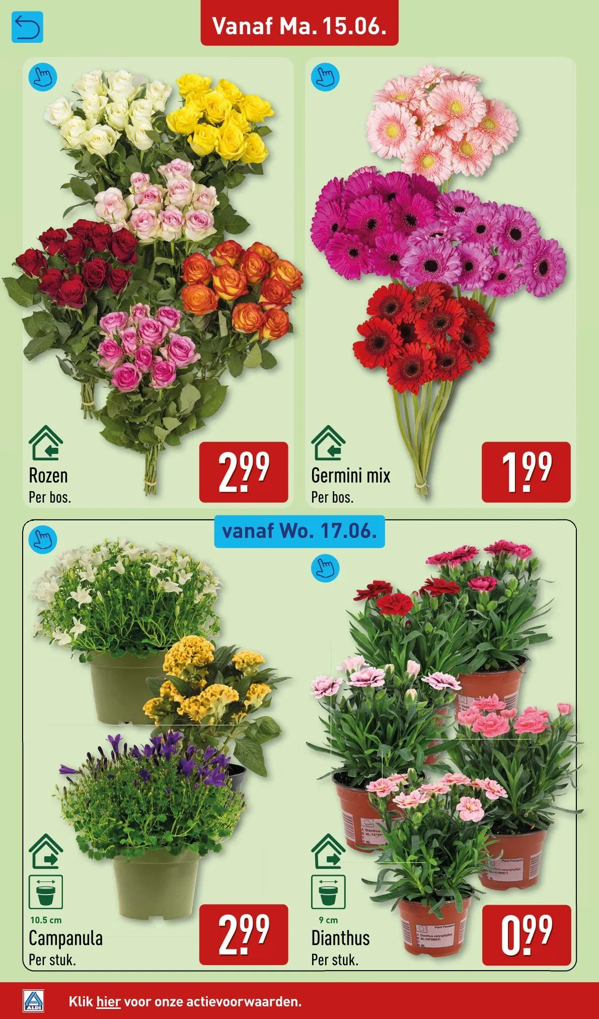 Aldi folders van 15 juni tot 21 juni 2026 - Folder pagina 40