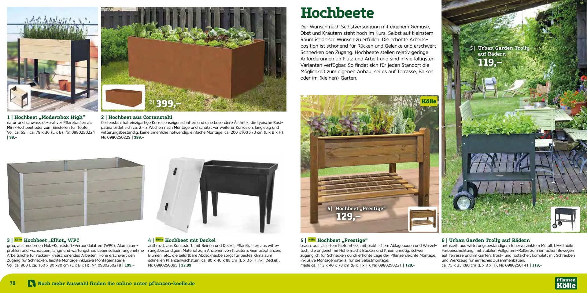 Prospekt Pflanzen-Kölle von 12. August bis 7. September 2025 - Prospekt seite 40