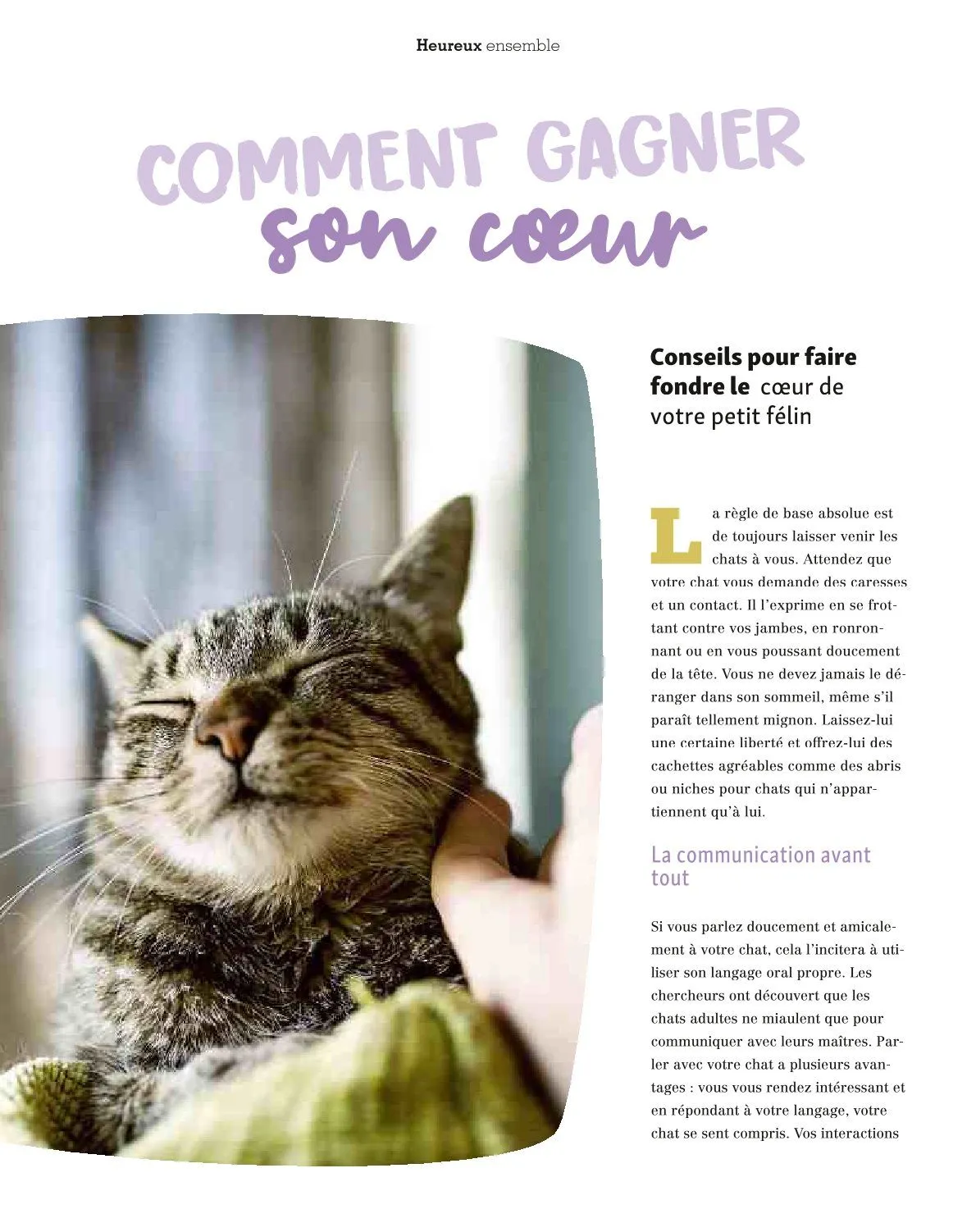 Maxi ZOO Catalogue du 23 décembre au 31 décembre 2025 - Catalogue page 40