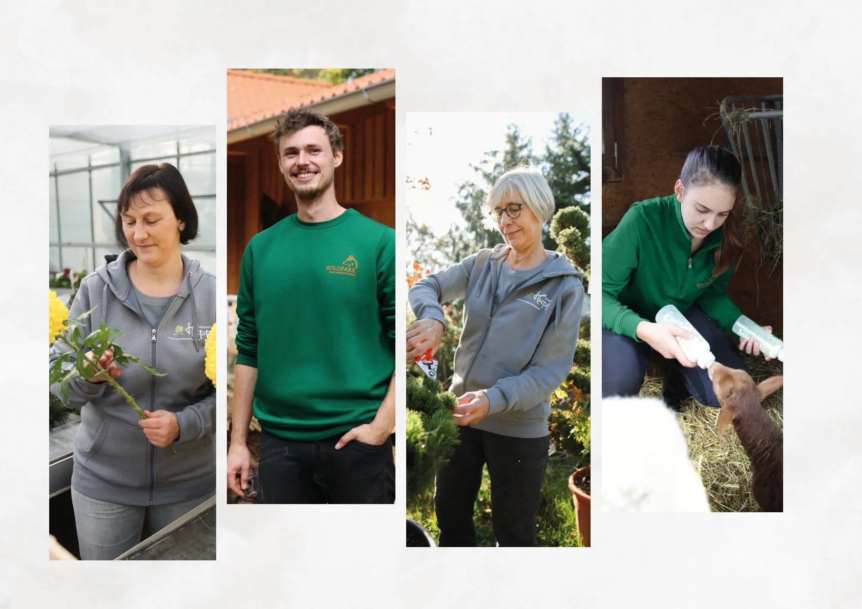 Jako Prospekt von 22. Januar bis 31. Dezember 2025 - Prospekt seite 71