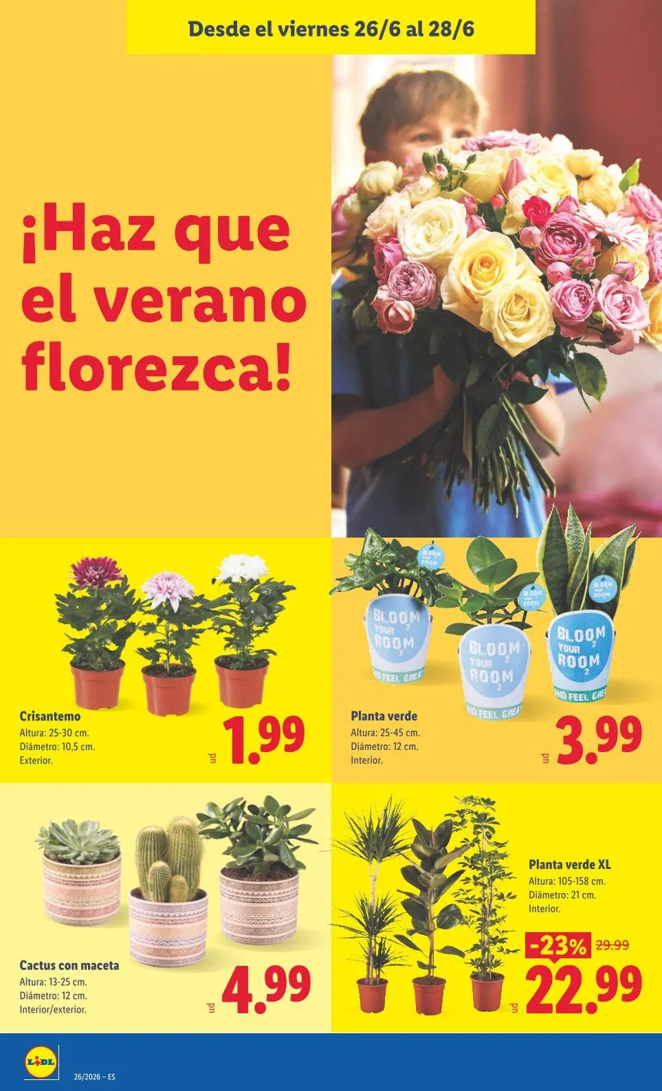 Catálogo de Lidl Ofertas 22 de junio al 28 de junio 2026 - Página 40