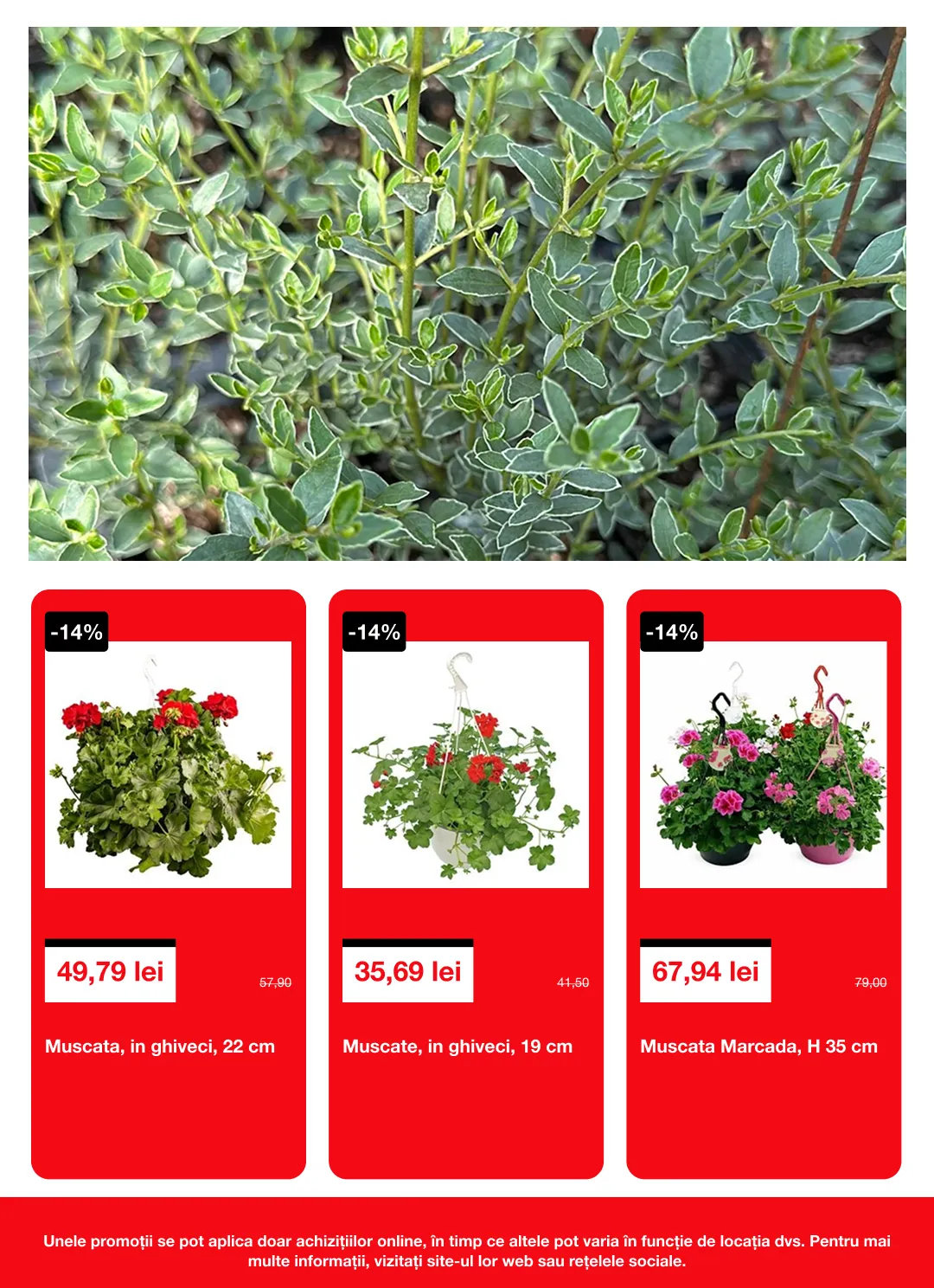 Catalog  Brico Depot de la 16 aprilie până la 6 mai 2026 - Revista Pagina 4