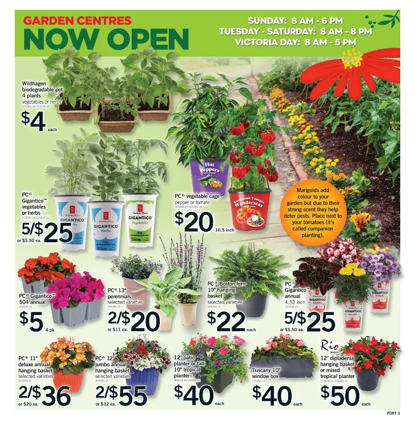 Fortinos Sales from May 14 to May 20 2026 - flyer page 4