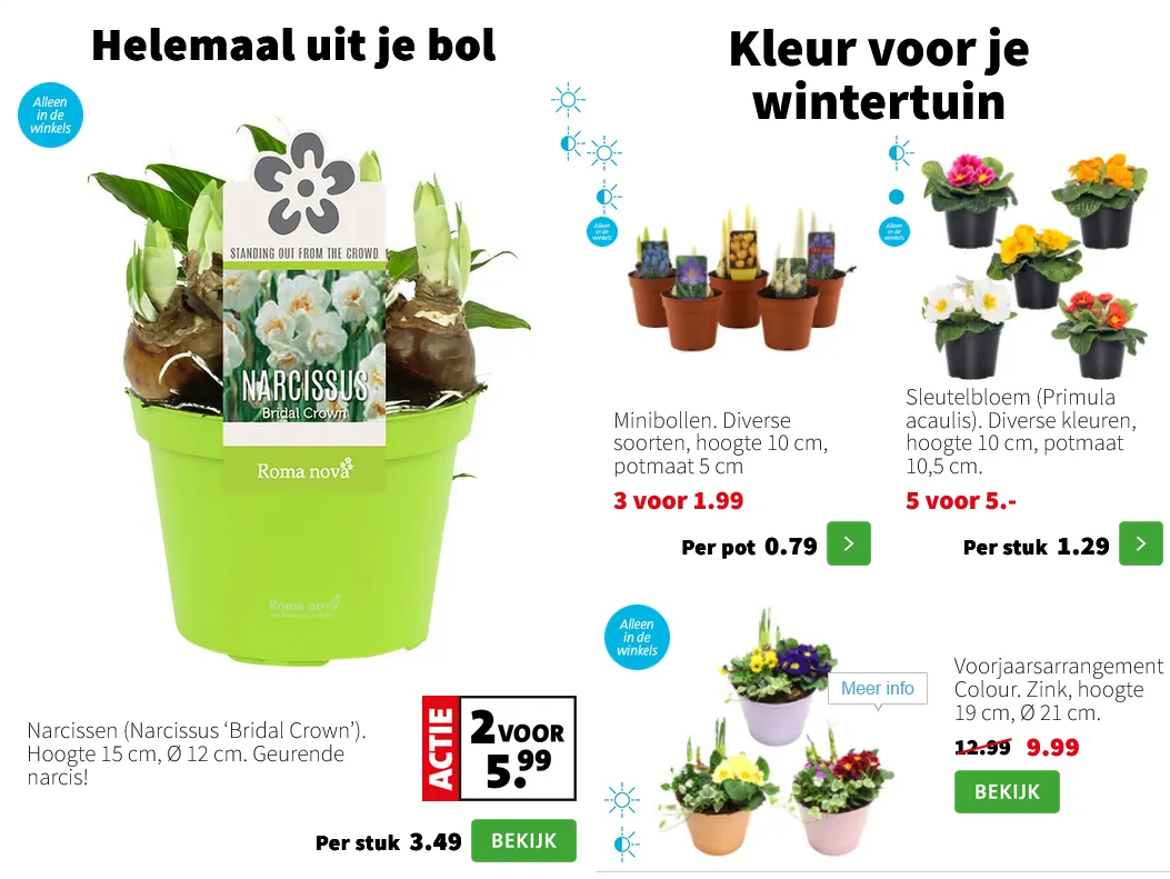 Intratuin folders van 12 januari tot 18 januari 2026 - Folder pagina 4