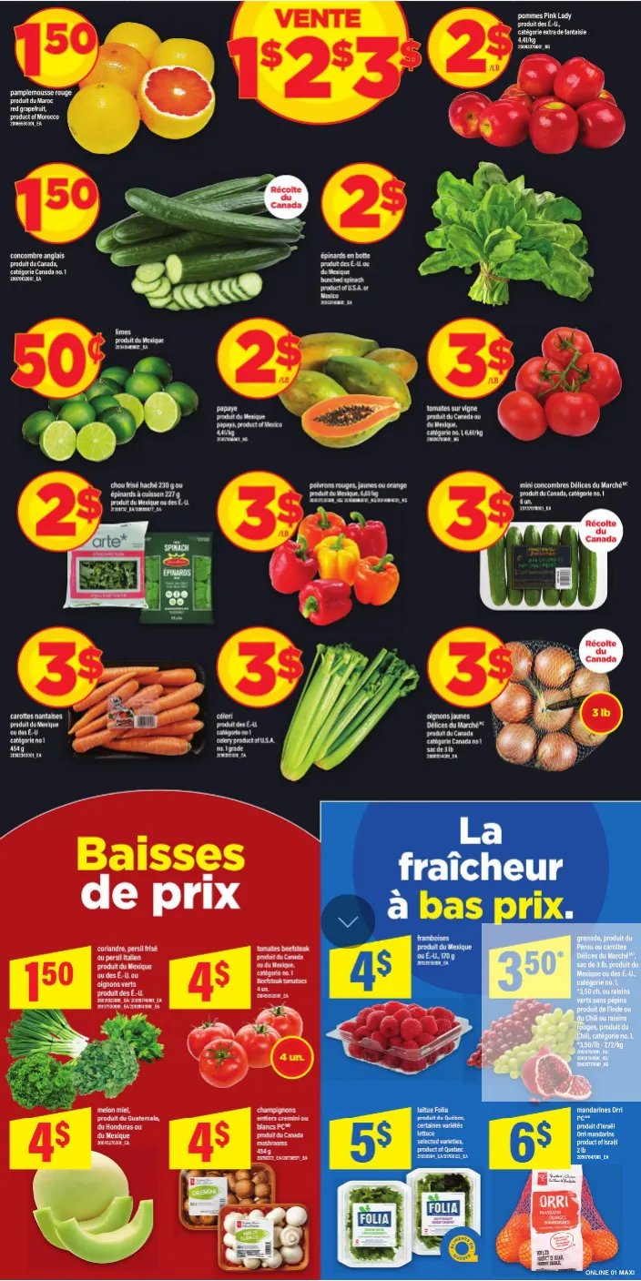  Maxi Sales from April 9 to April 15 2026 - flyer page 4