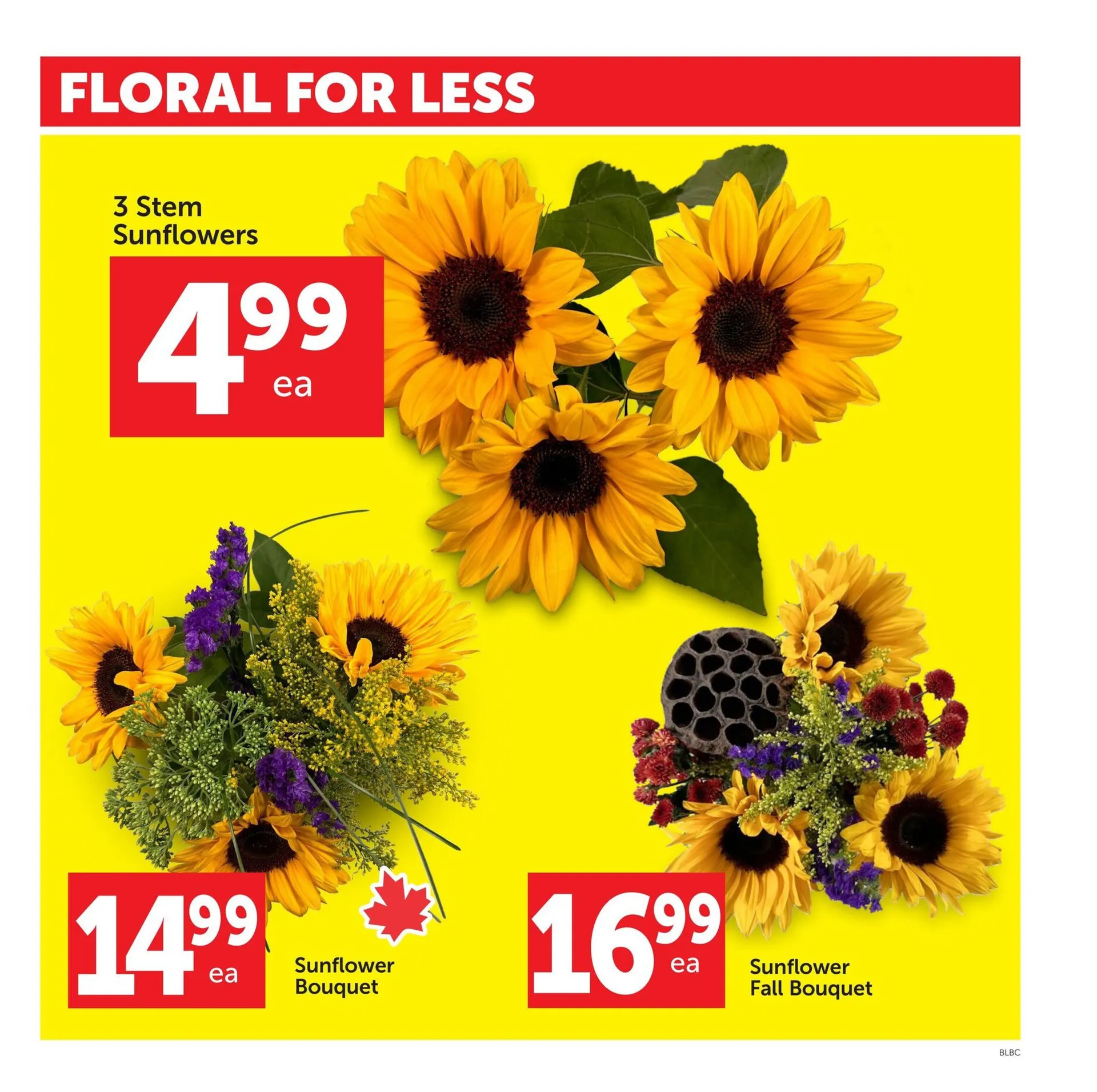 Buy-Low Foods flyers from July 31 to August 6 2025 - flyer page 4