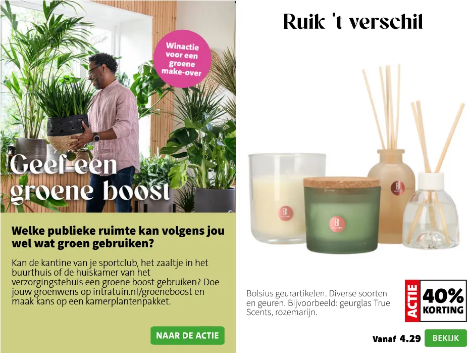  Intratuin folders van 2 februari tot 8 februari 2026 - Folder pagina 4