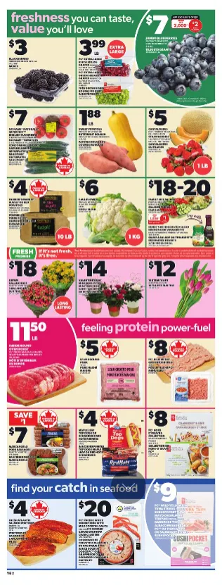 Independent Sales from February 5 to February 11 2026 - flyer page 4