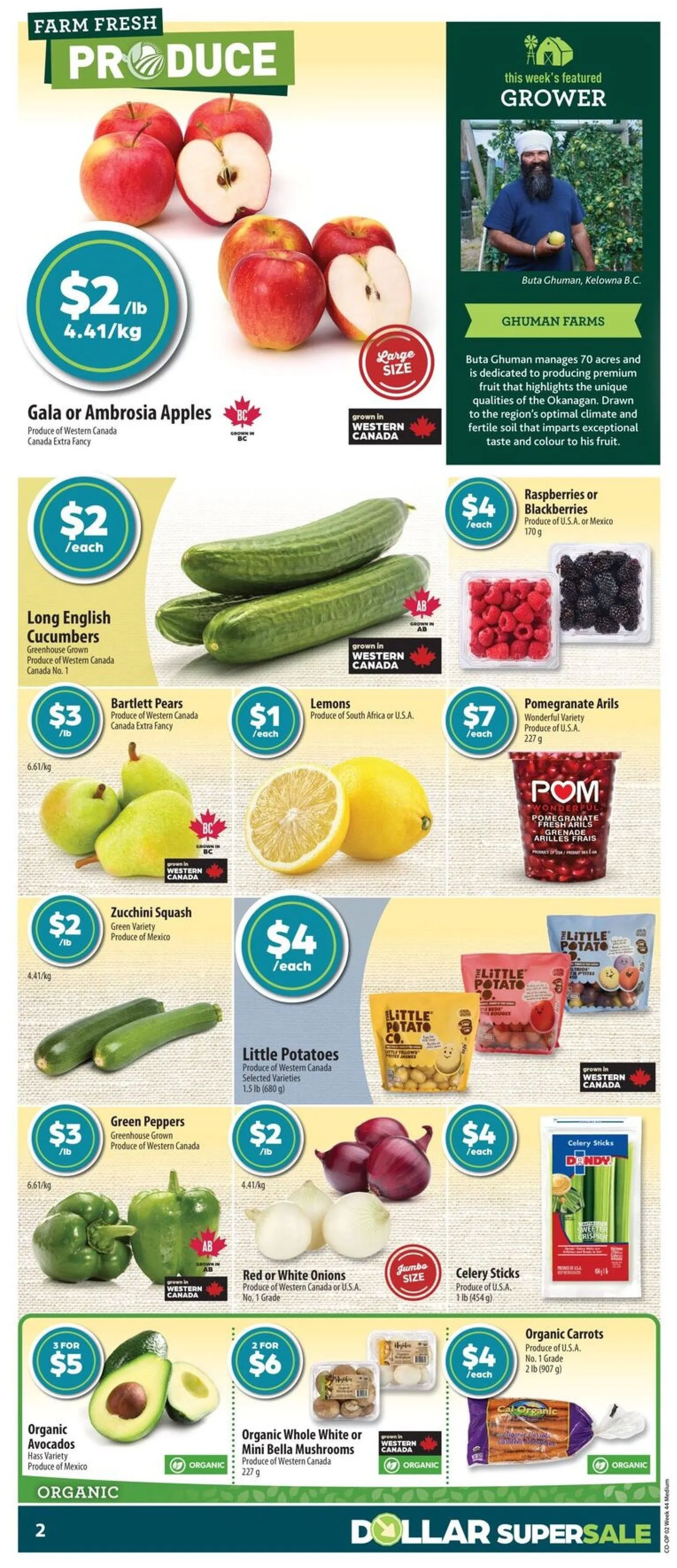 Co-op Food Sales from October 23 to October 29 2025 - flyer page 4