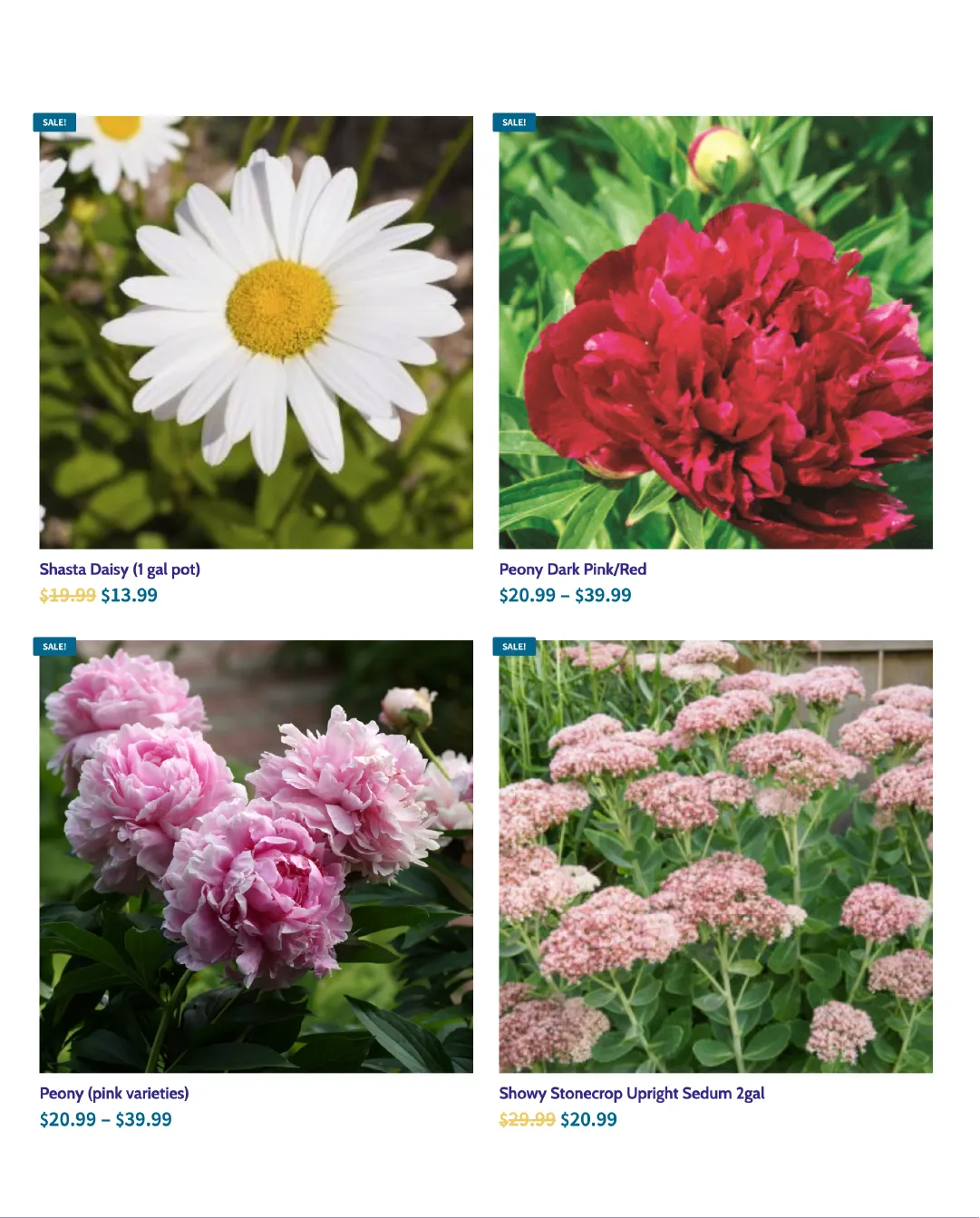 Terra Green Houses Sales from June 25 to July 8 2026 - flyer page 3