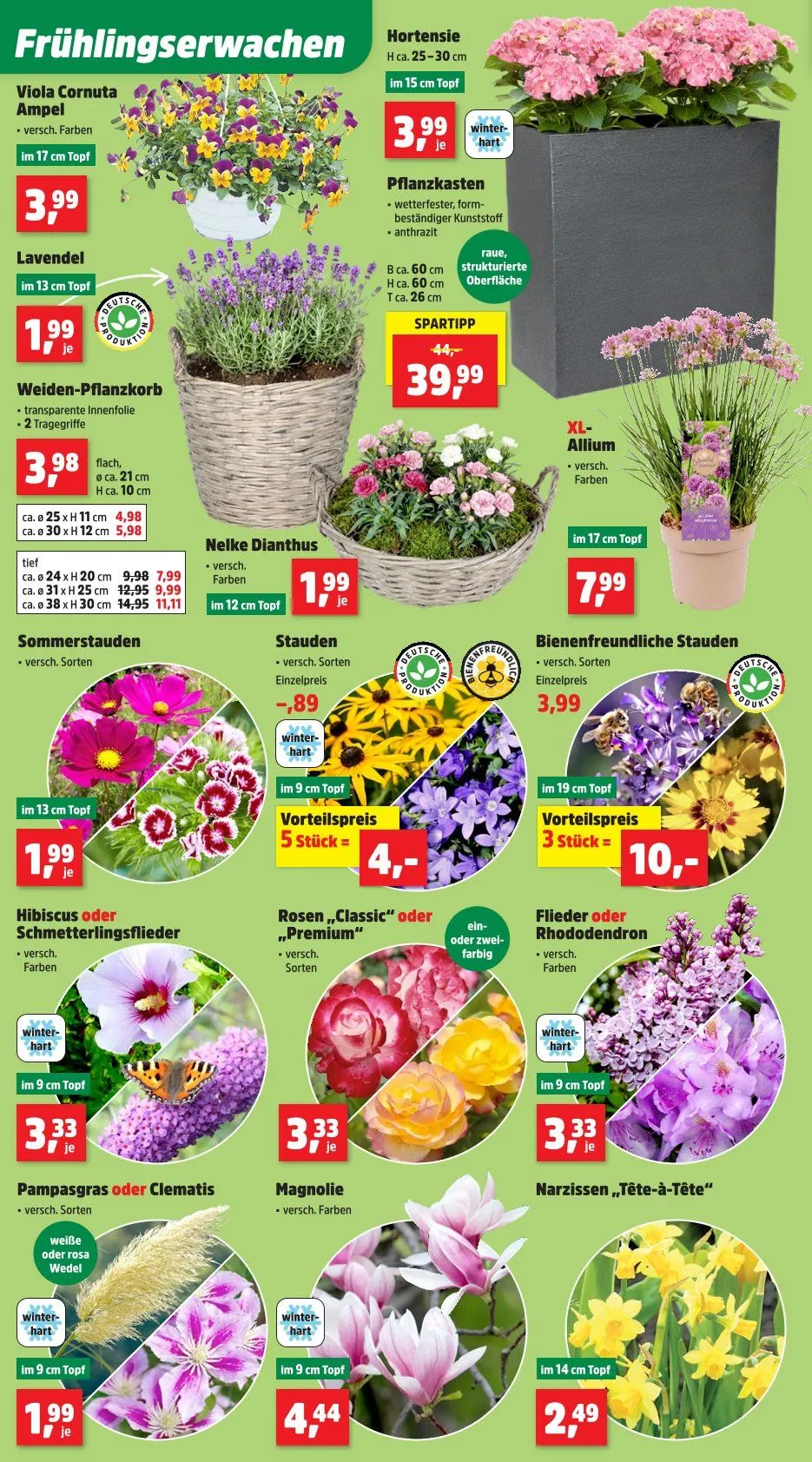  Thomas Philipps Prospekte  von 23. März bis 28. April 2026 - Prospekt seite 4