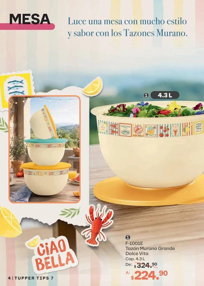 Catálogo de Tupperware Ofertas 15 de junio al 12 de julio 2026 - Pagina 4