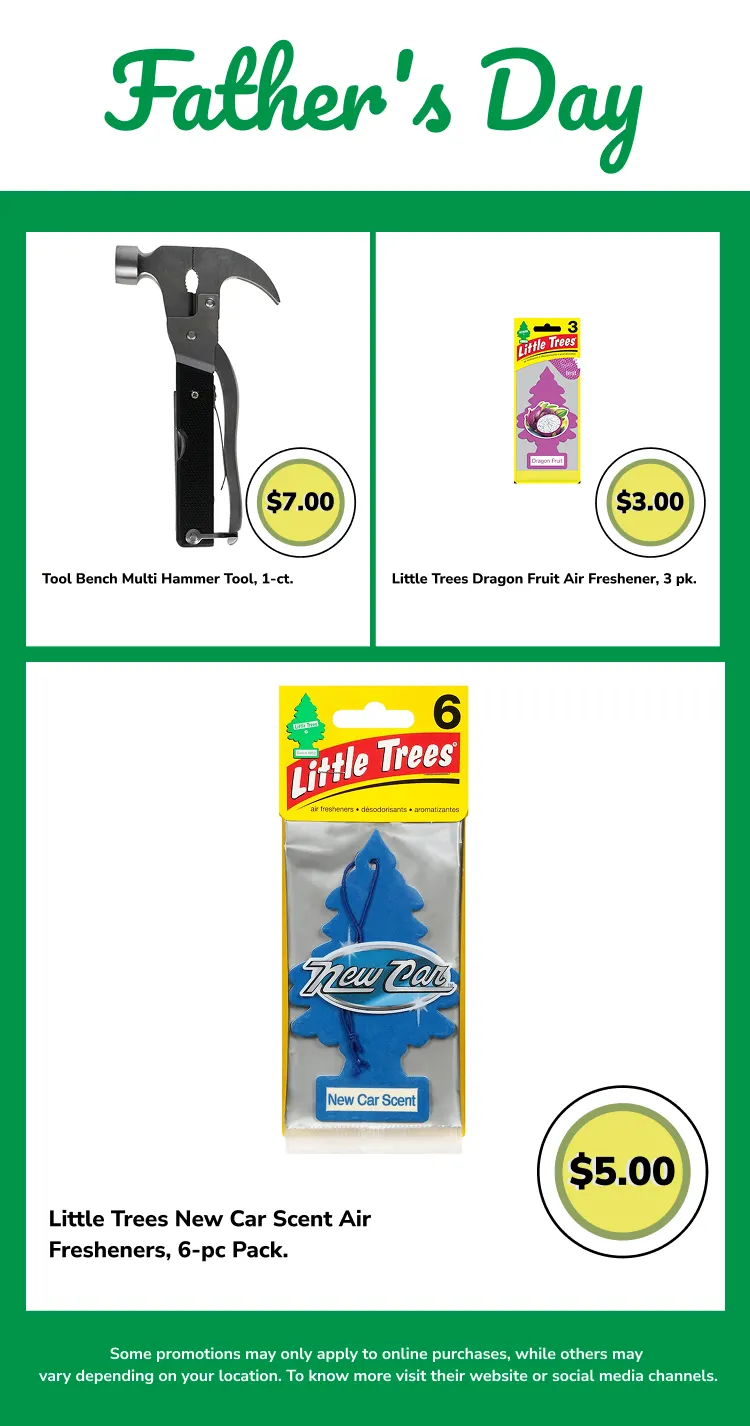 Weekly ad Dollar Tree Sales from June 8 to June 22 2026 - Page 4