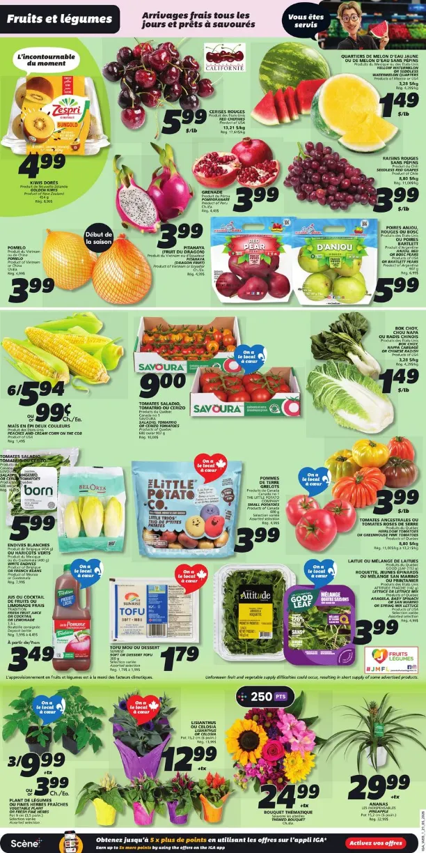 IGA Sales from May 21 to May 27 2026 - flyer page 4