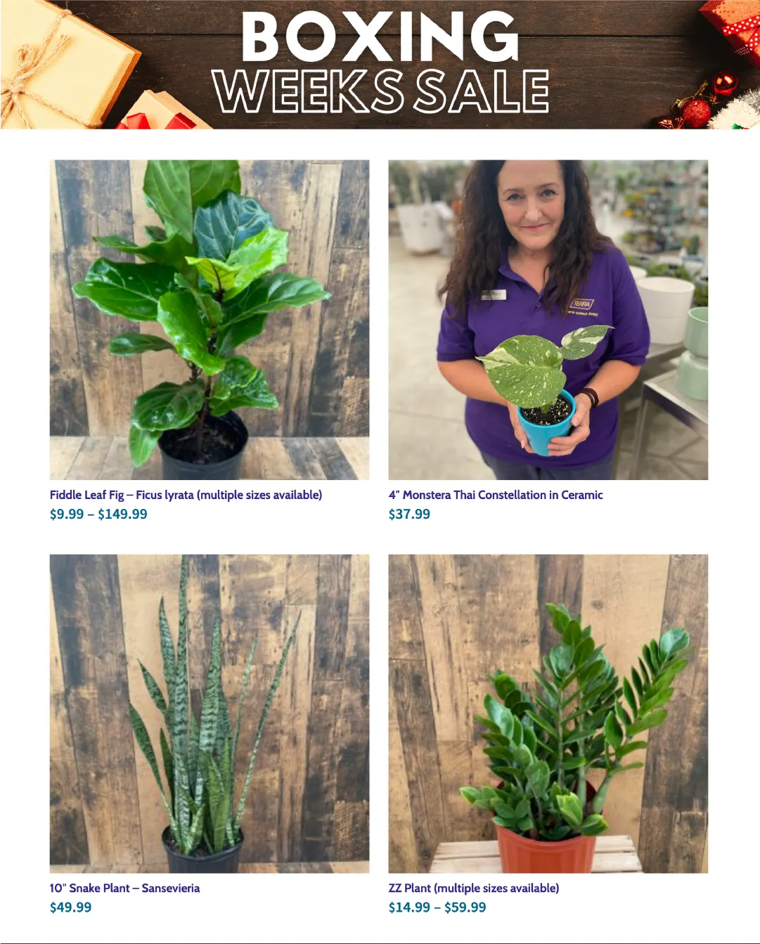 Terra Green Houses Sales from January 14 to January 31 2026 - flyer page 3