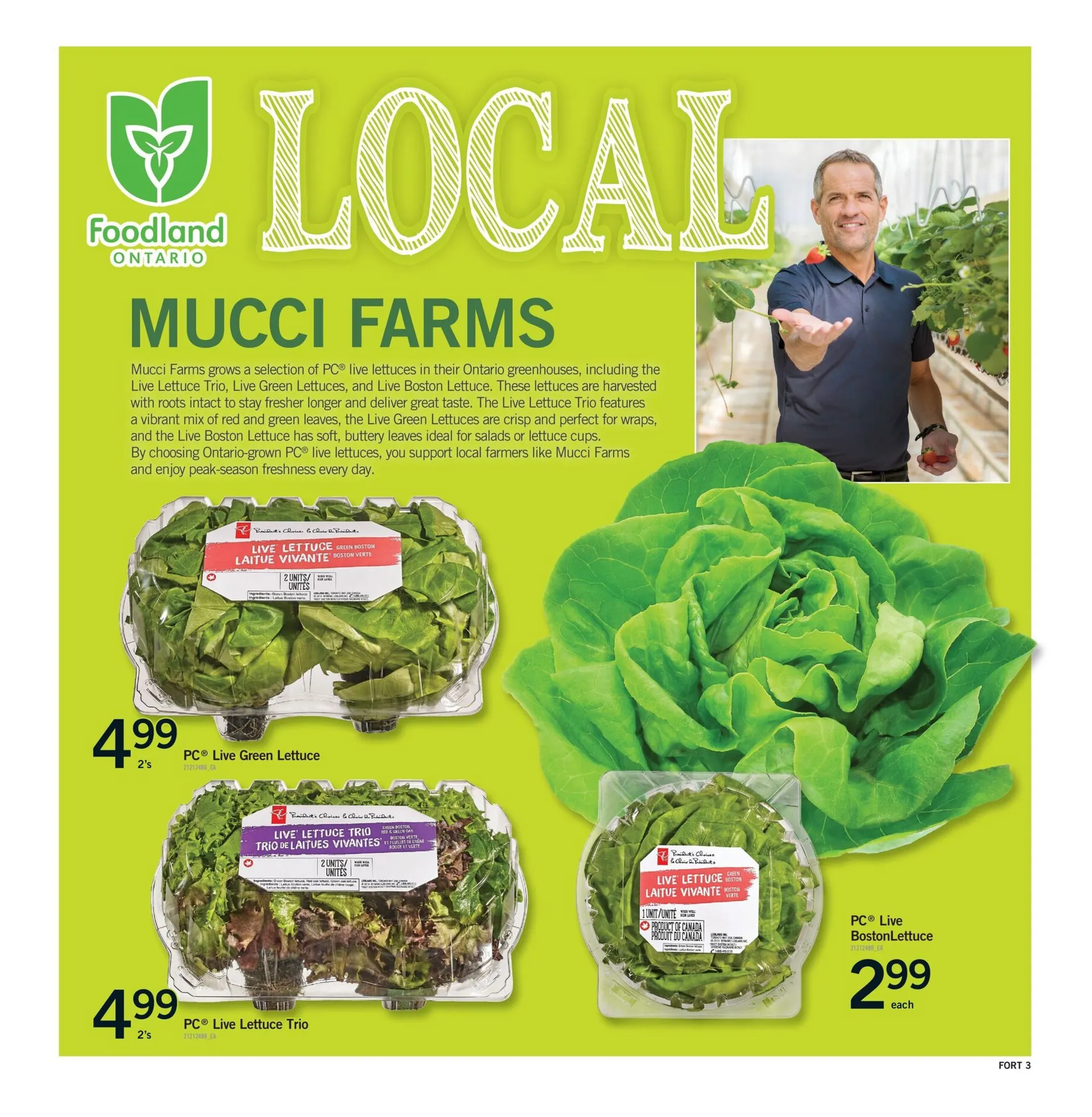 Fortinos flyers from July 3 to July 9 2025 - flyer page 4