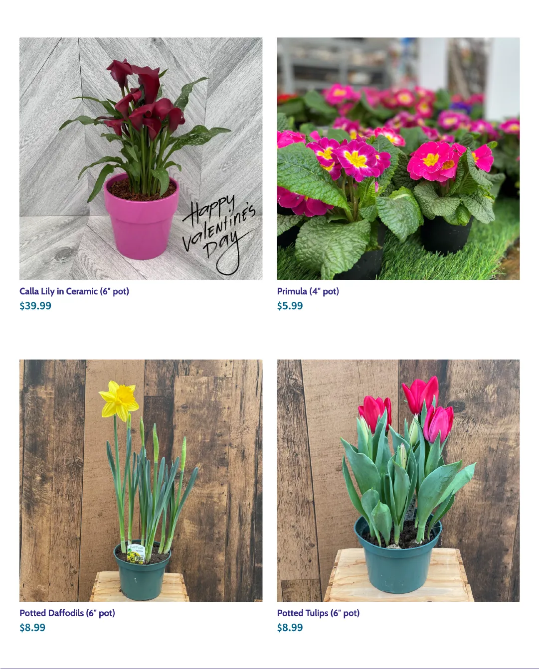 Terra Green Houses from February 10 to February 24 2026 - flyer page 3